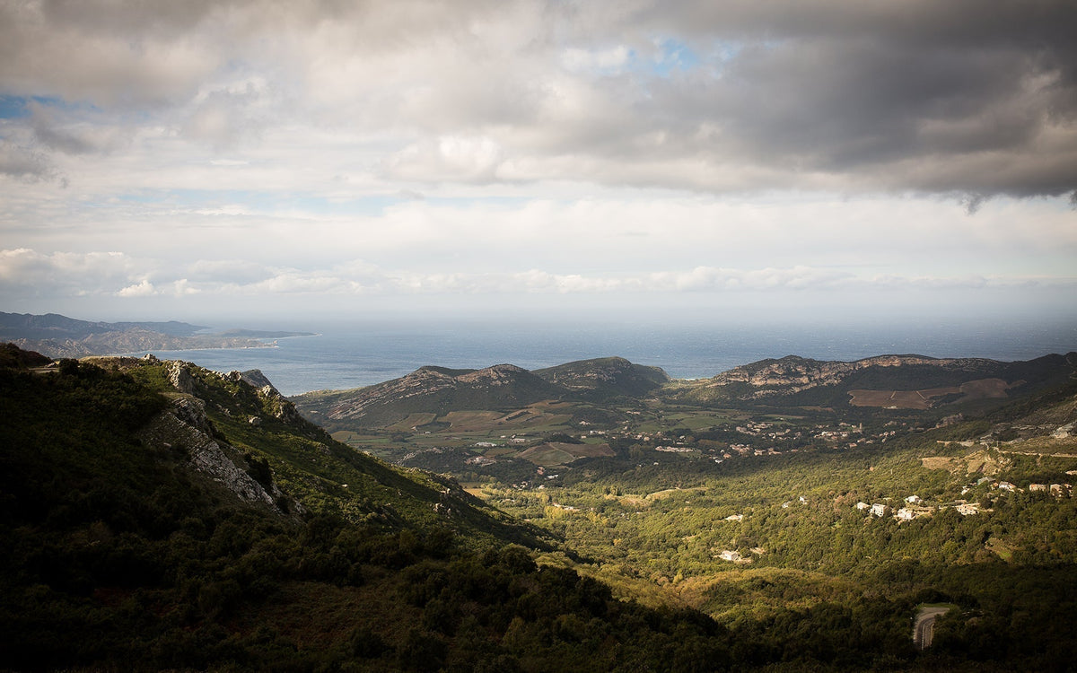 Napoleon Complexity: The Wines of Corsica