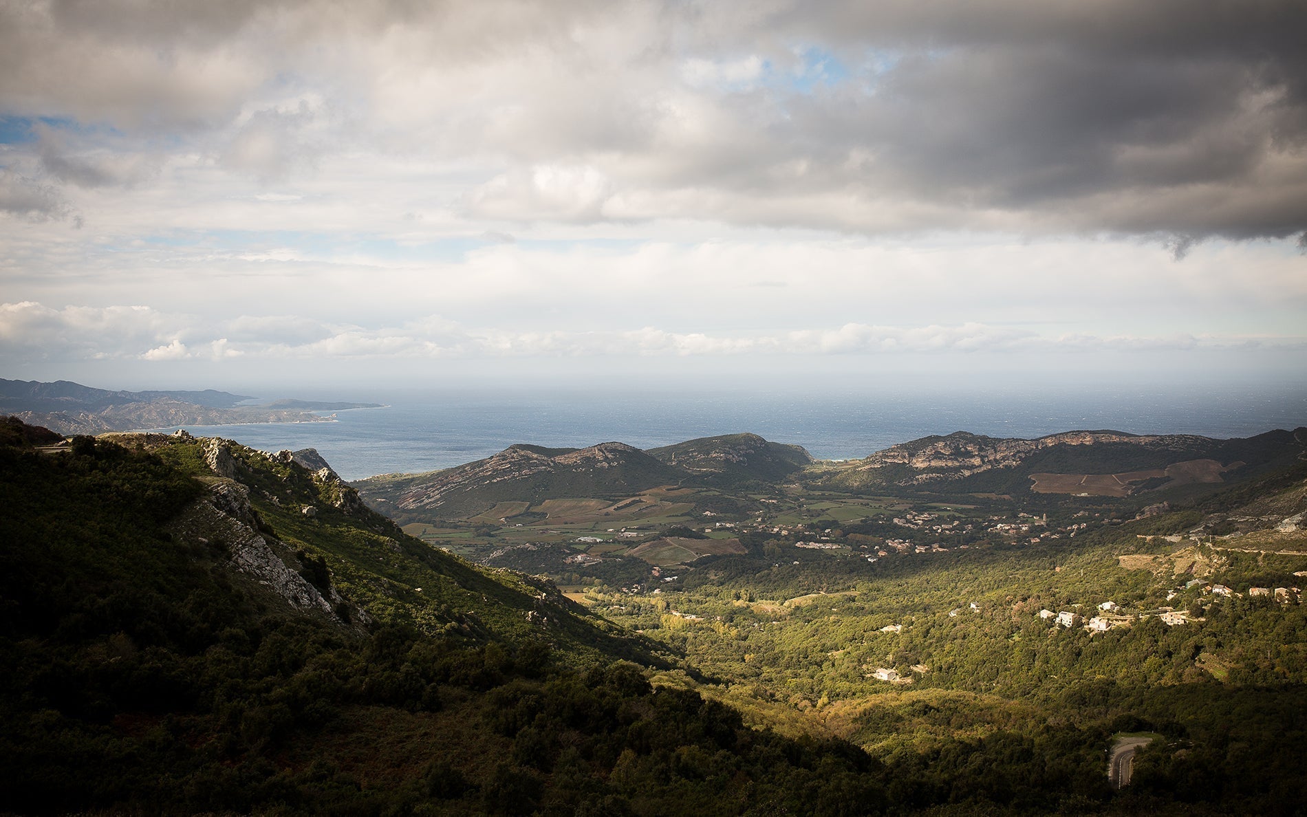 Napoleon Complexity: The Wines of Corsica