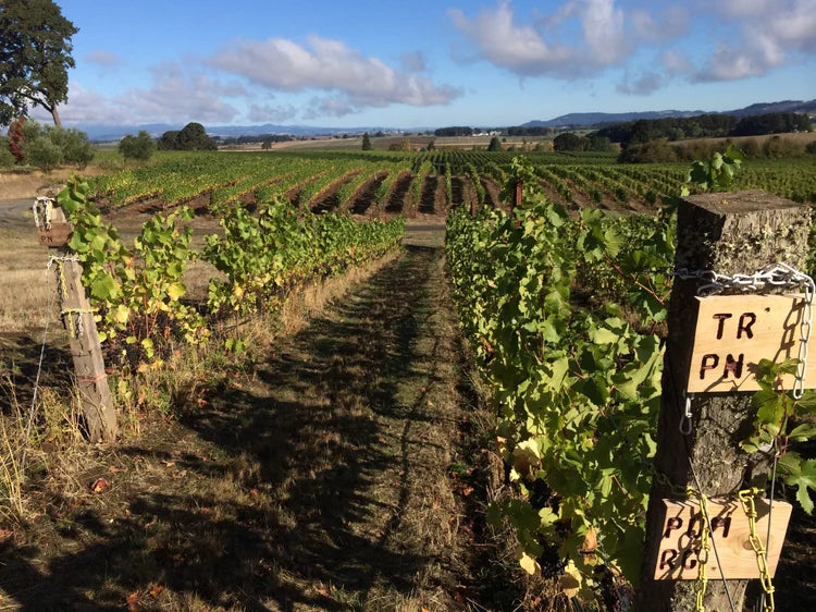 The Other Wines of Oregon