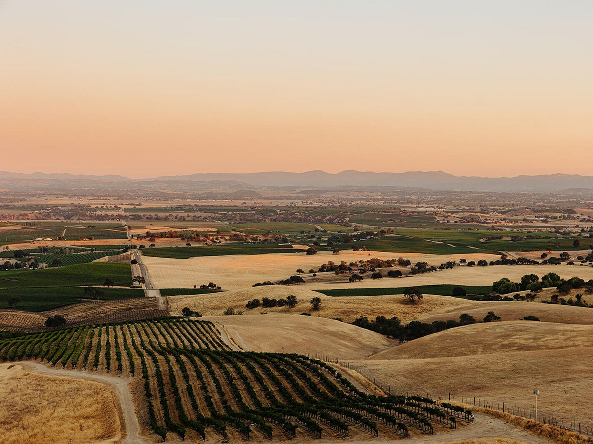 Paso Robles