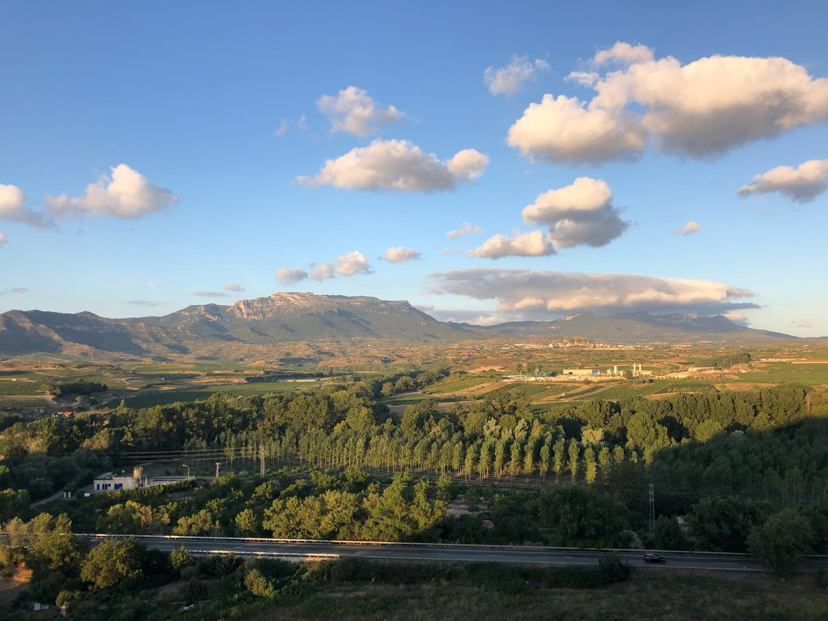 Reds of the Upper Ebro River
