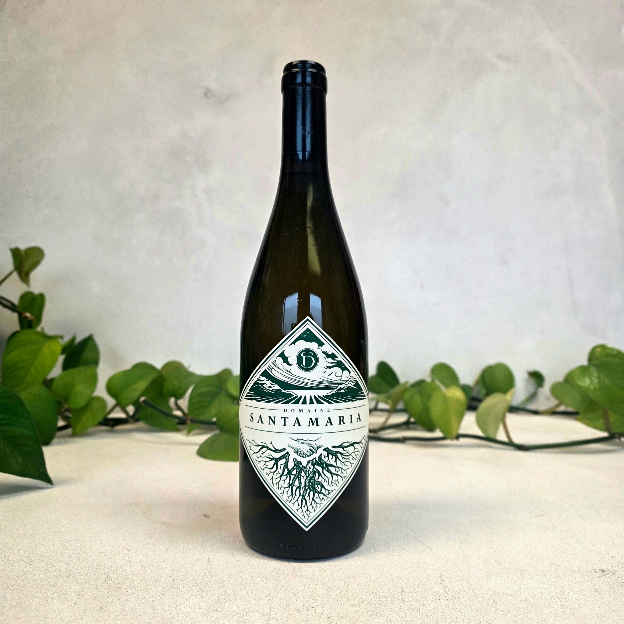 Domaine Santamaria - Patrimonio Bianco - Corsica, France