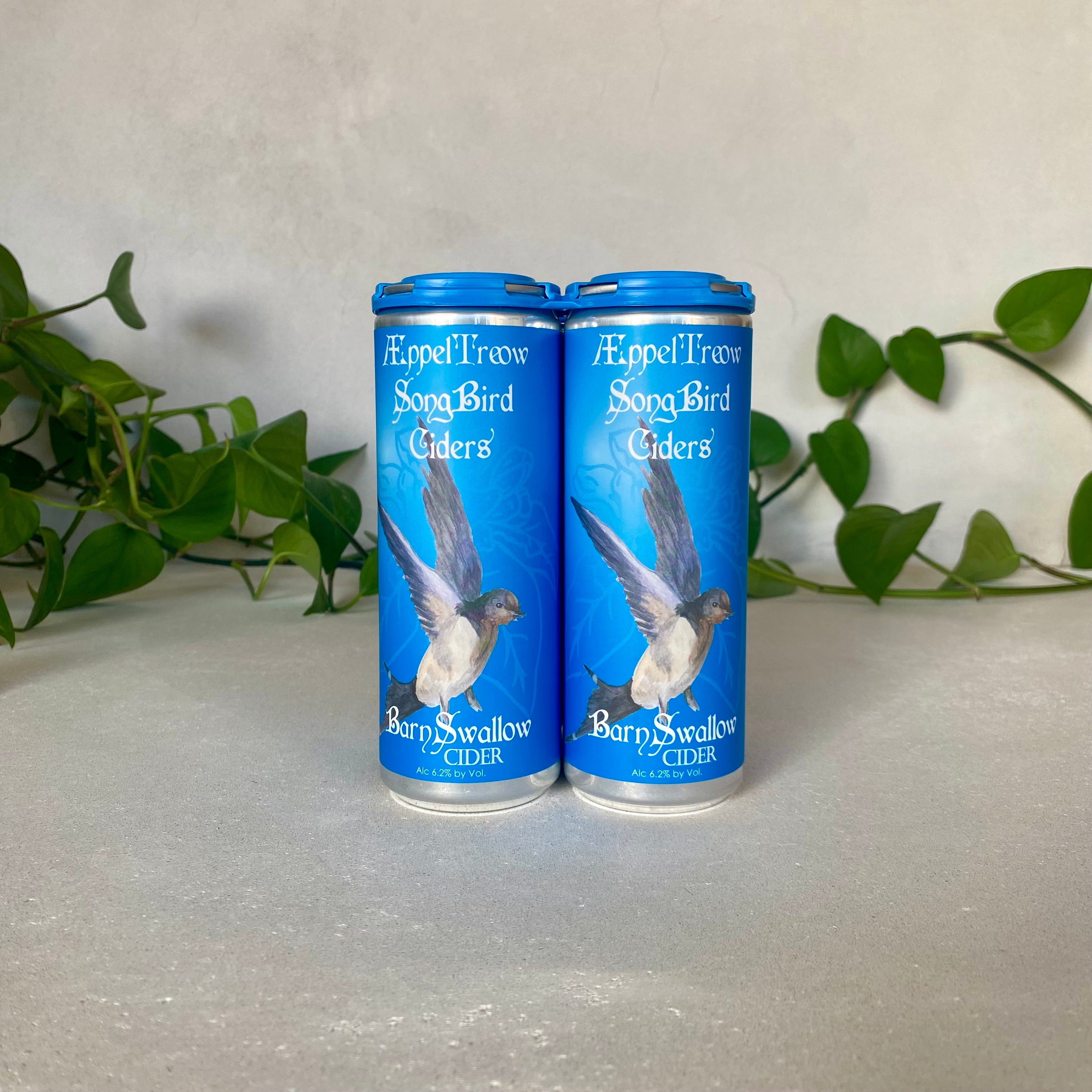 AEppel Treow - Barn Swallow Cider - Burlington, Wisconsin