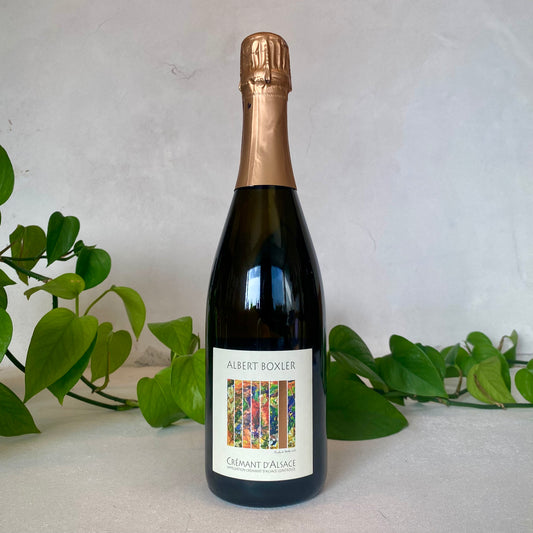 Albert Boxler - Cremant d'Alsace Brut - Alsace, France