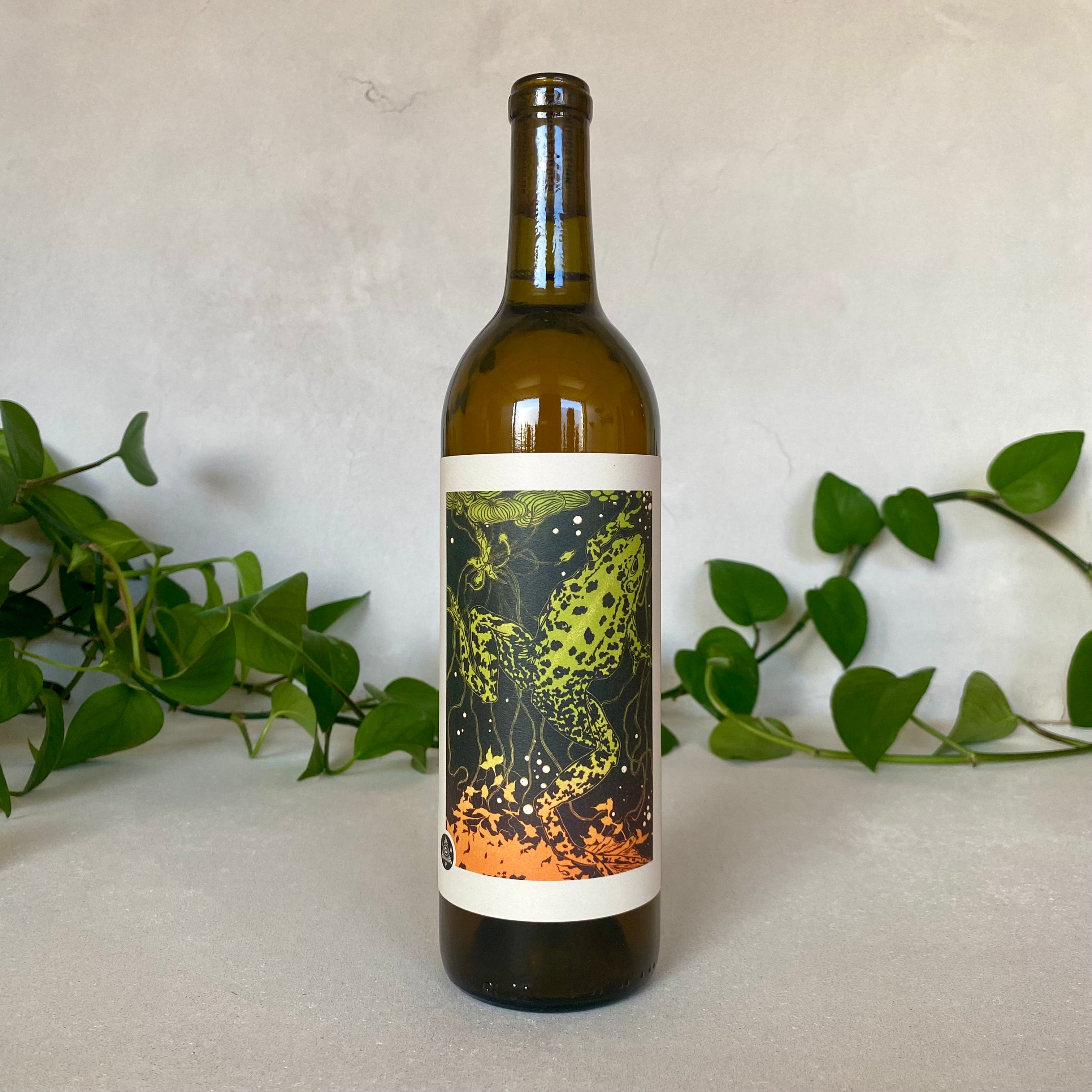 American Wine Project - Modern Optimism - Wisconsin