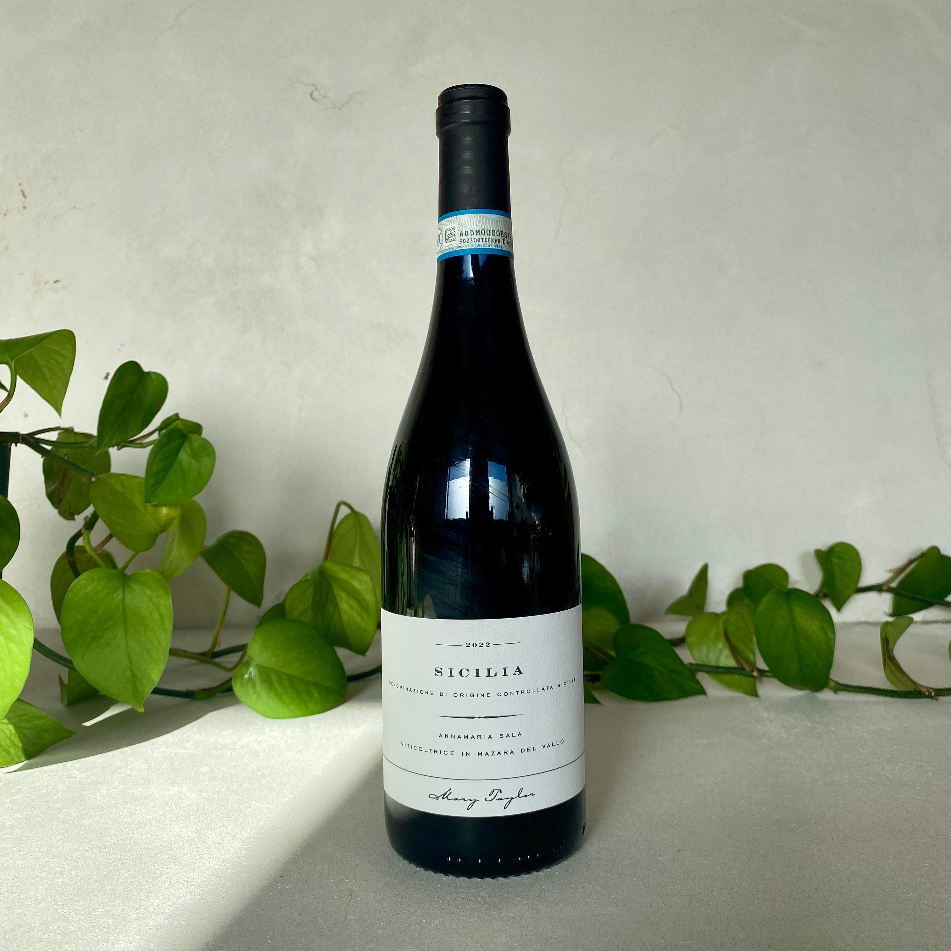 Annamaria Sala - Sicilia Nero - Sicily, Italy