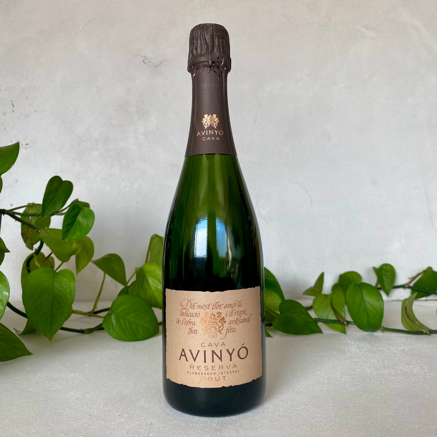 Avinyó - Cava Reserva Brut - Catalonia, Spain