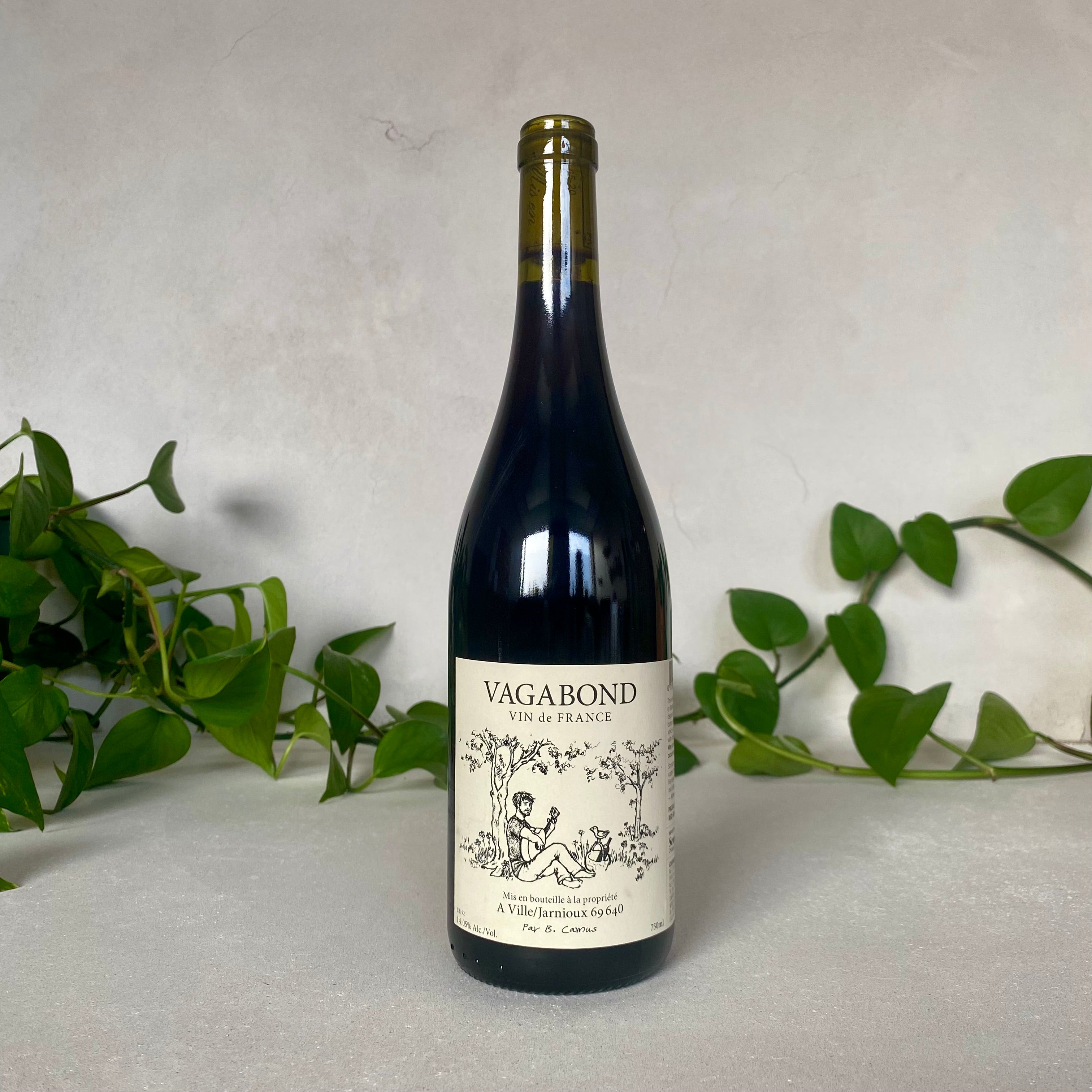 Benoit Camus - La Vagabond - Beaujolais, France
