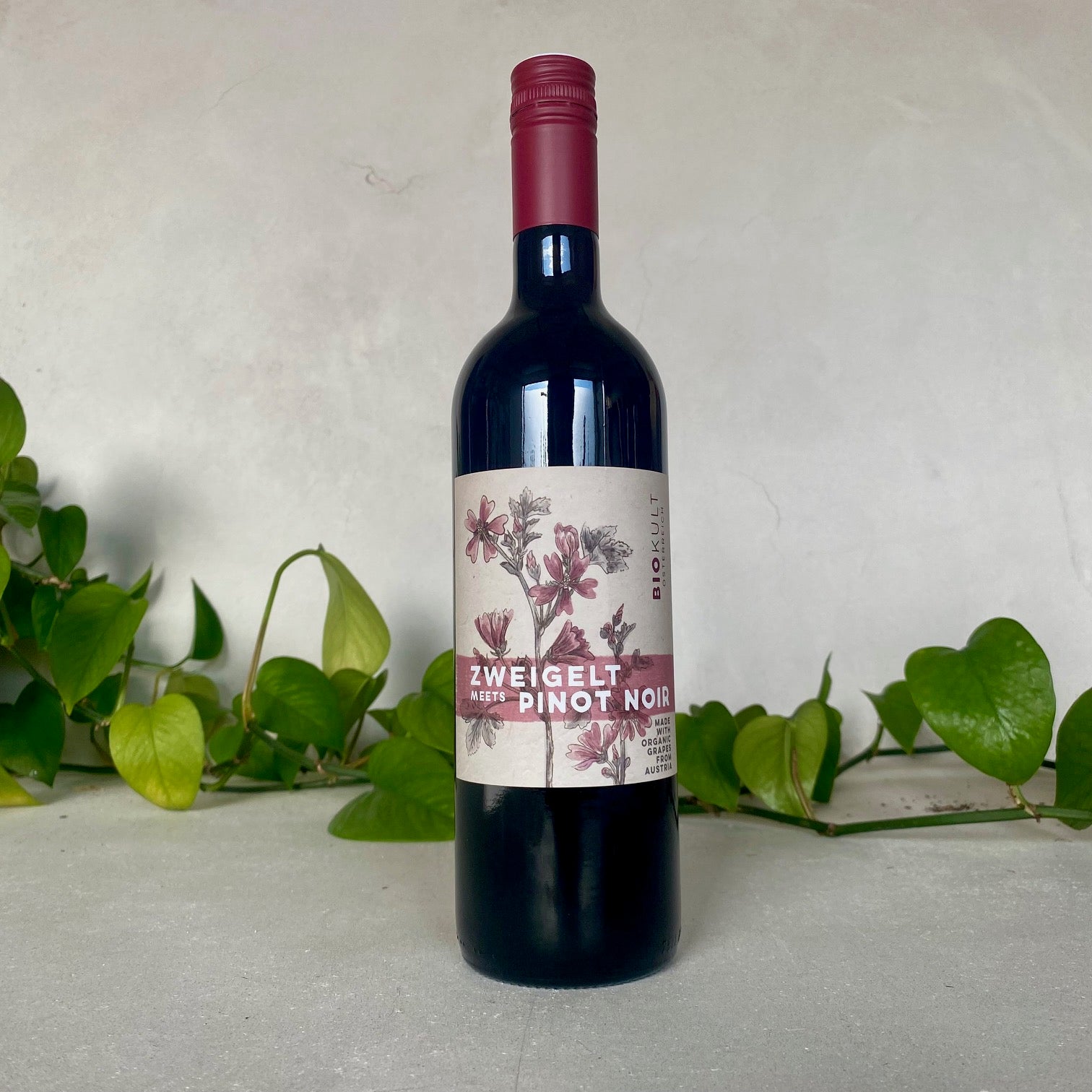 Biokult - Zweigelt Pinot Noir - Burgenland, Austria