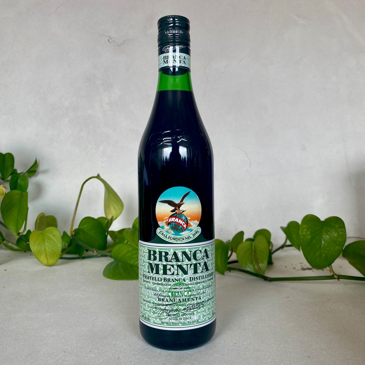 Branca - Fernet 'Menta' - Milan, Italy