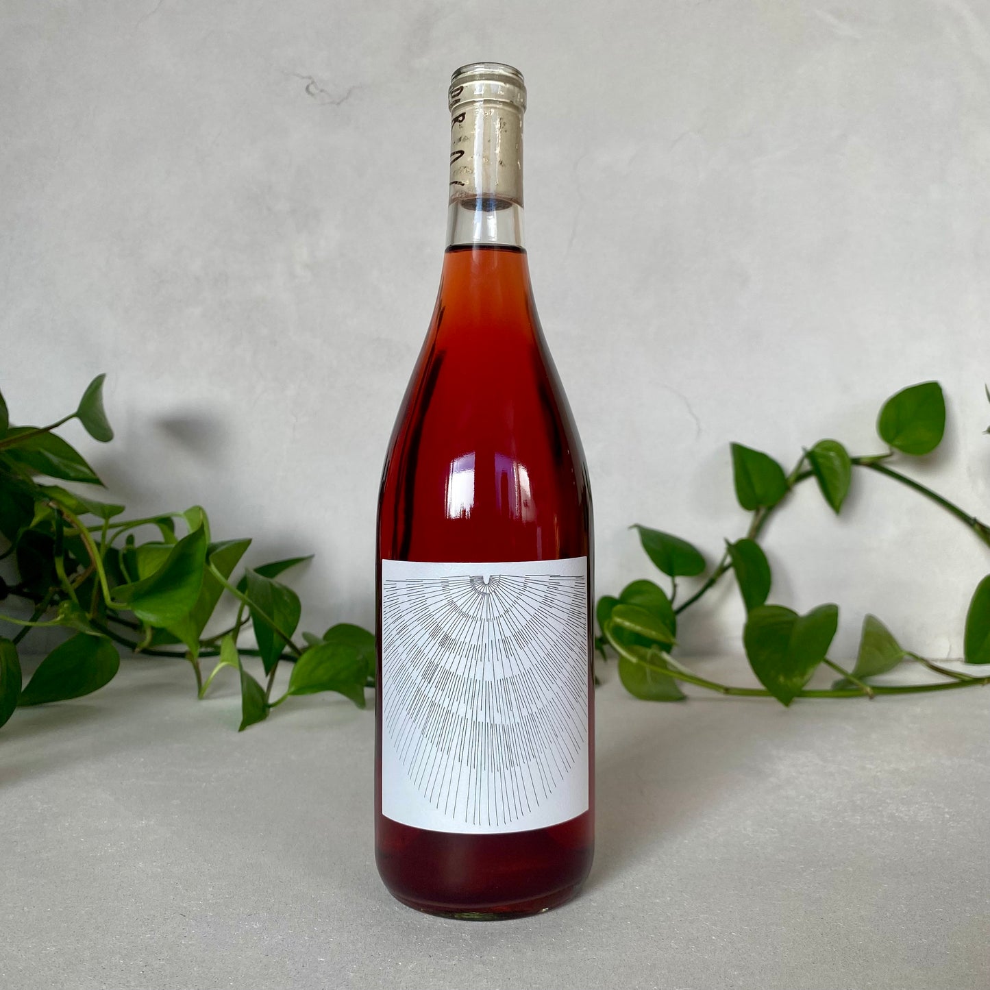 Broc Cellars - White Zinfandel - Sonoma County, California