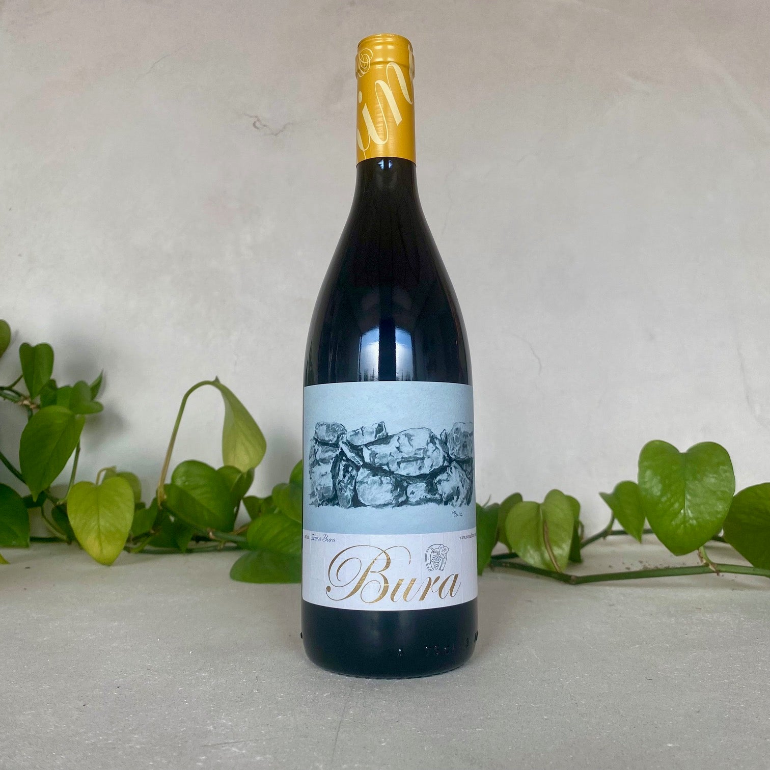 Bura-Mrgudic - Plavac Mali Sivi - Dalmatia, Croatia