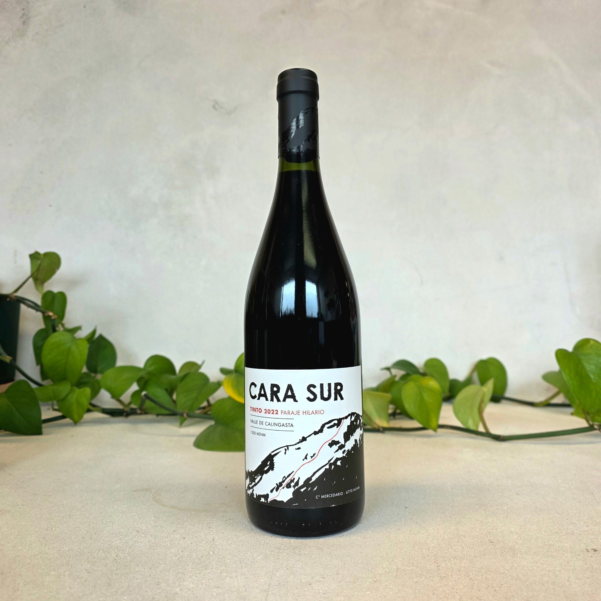 Cara Sur - Tinto - San Juan, Argentina