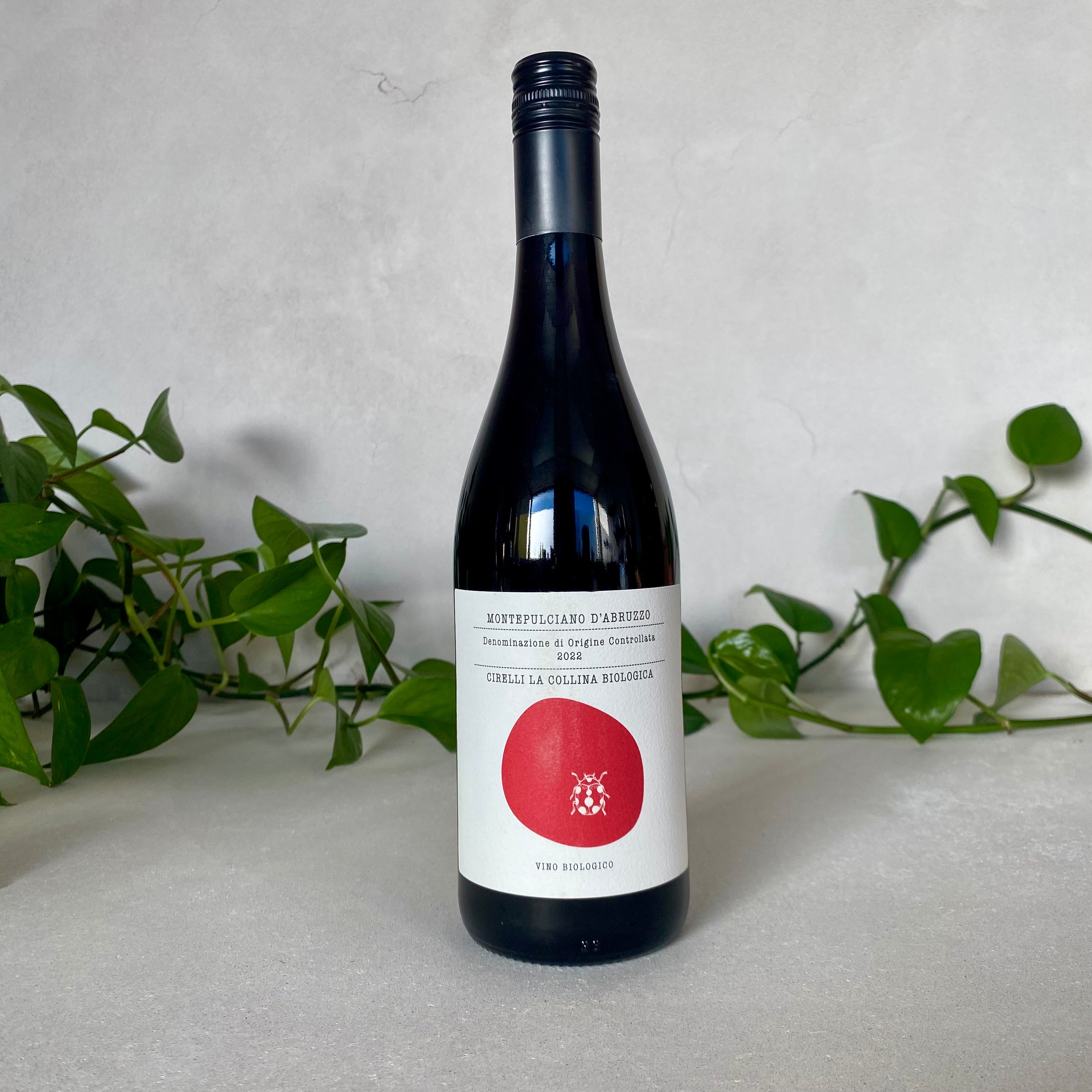 Cirelli - Montepulciano d'Abruzzo - Abruzzo, Italy