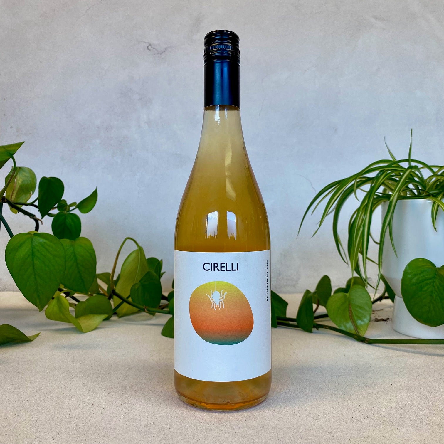 Cirelli - Abruzzo 'Orange' - Abruzzo, Italy