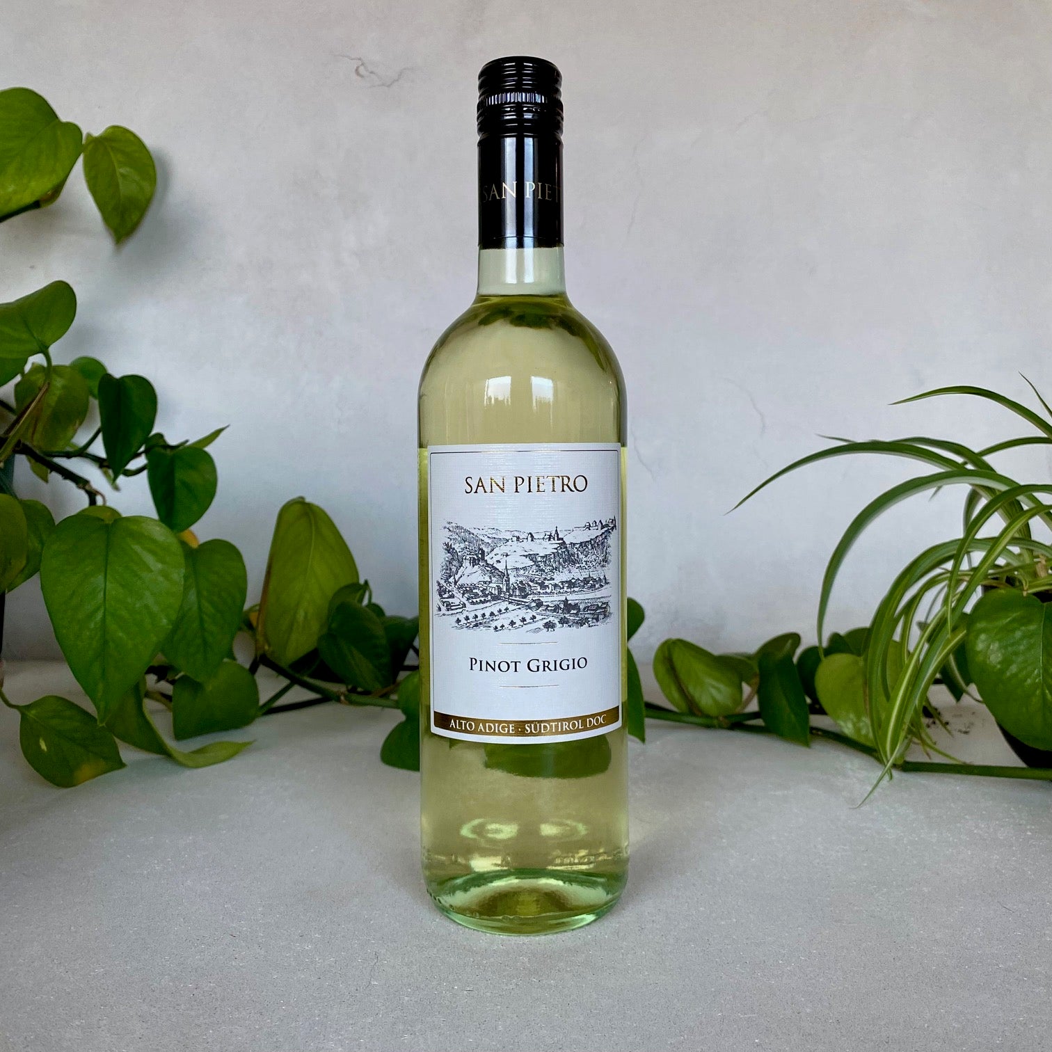 Cortaccia - Pinot Grigio 'San Pietro' - Alto Adige, Italy