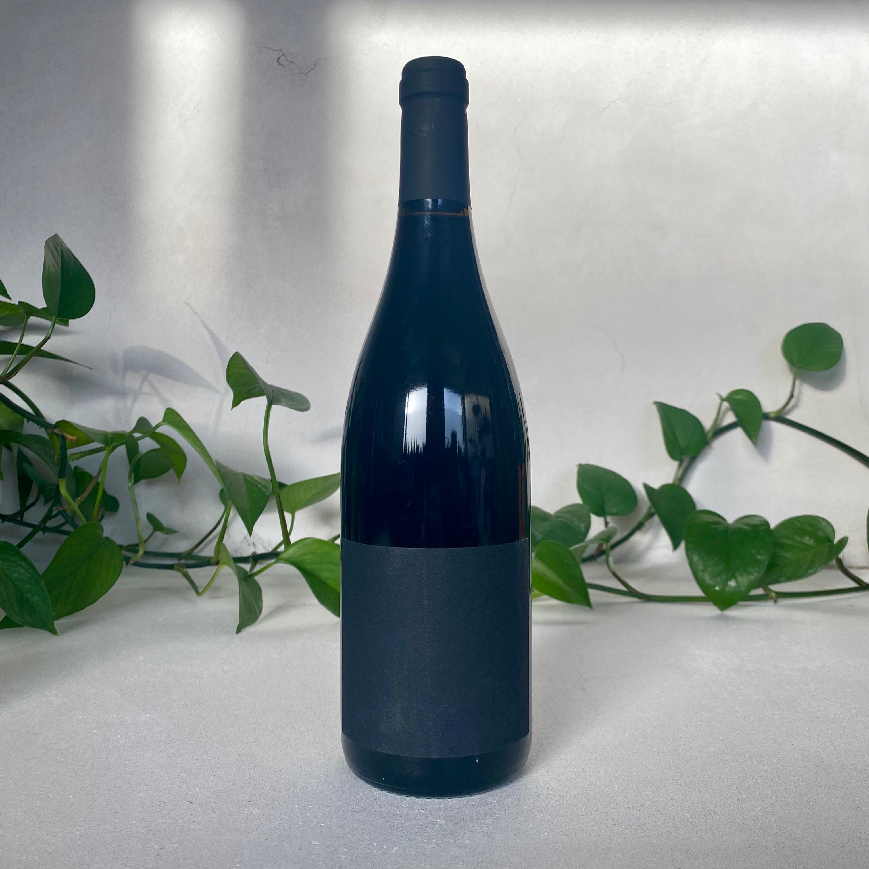 Domaine Bibich - CRNO - Dalmatia, Croatia