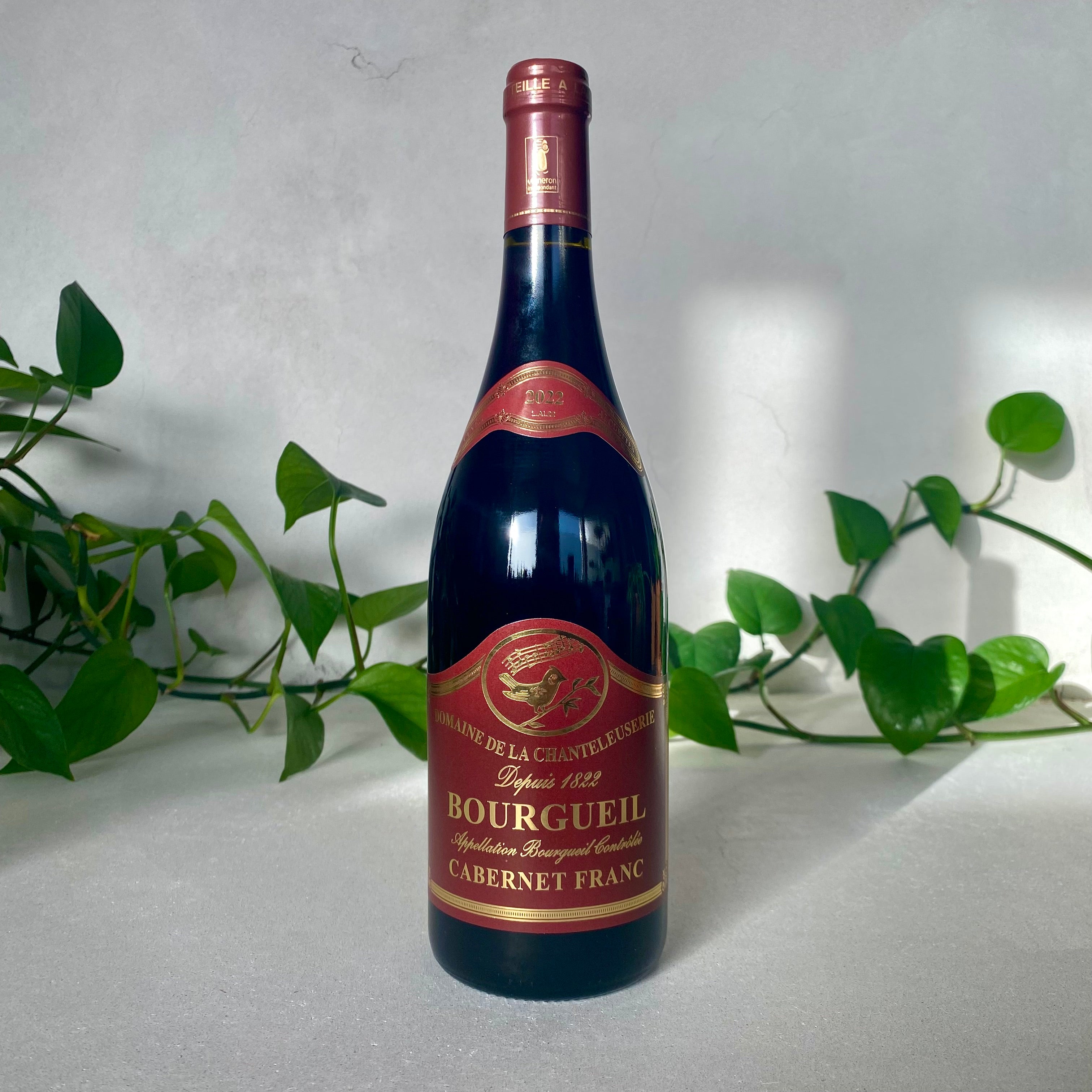 Domaine de la Chanteleuserie - Bourgueil 'Alouettes'  - Loire, France