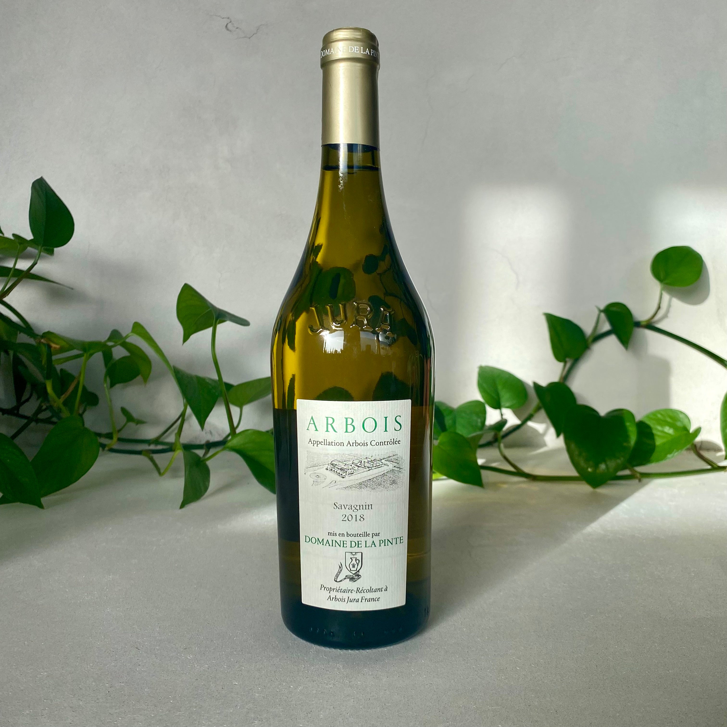 Domaine de la Pinte - Savagnin - Jura, France