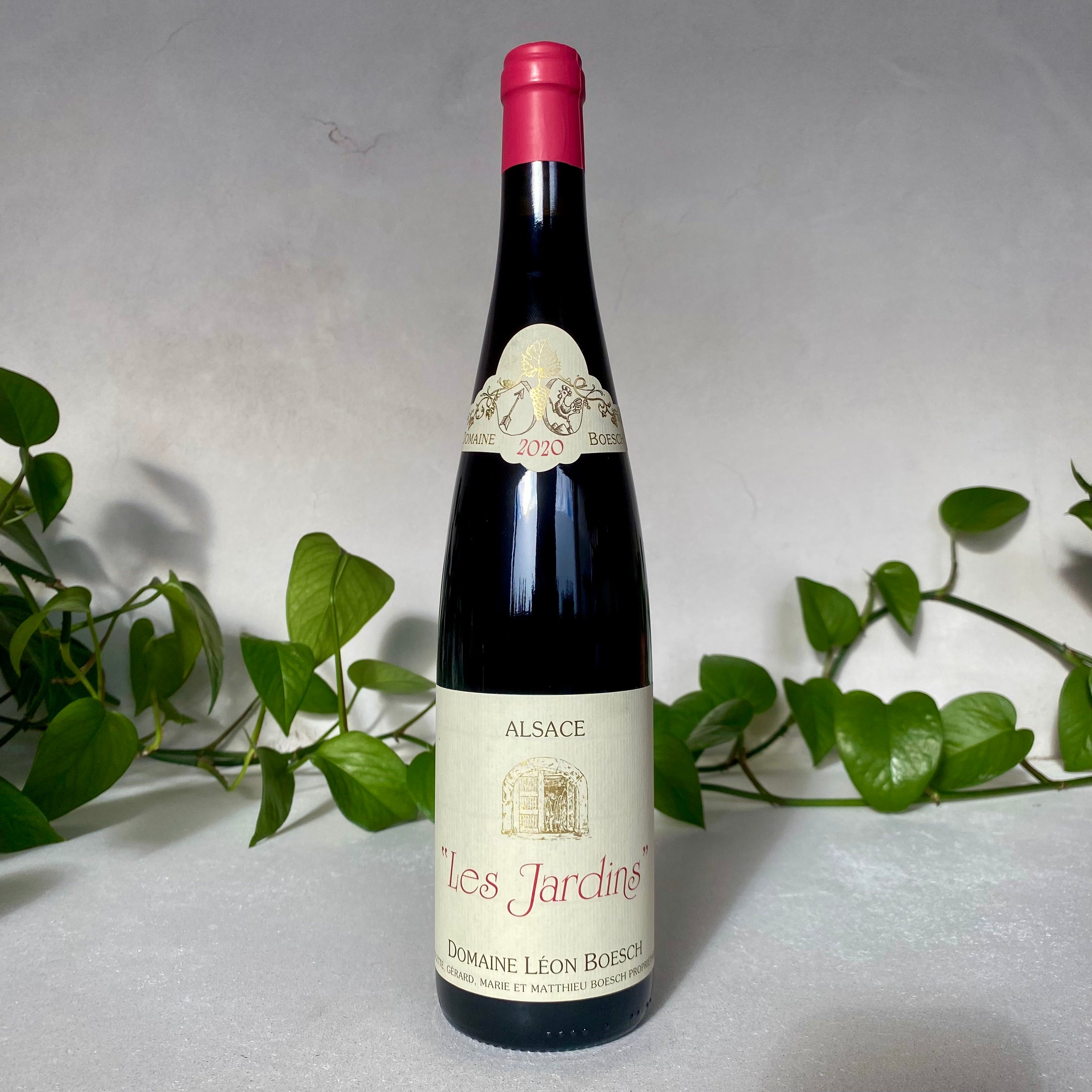 Leon Boesch - Pinot Noir 'Les Jardins' - Alsace, France