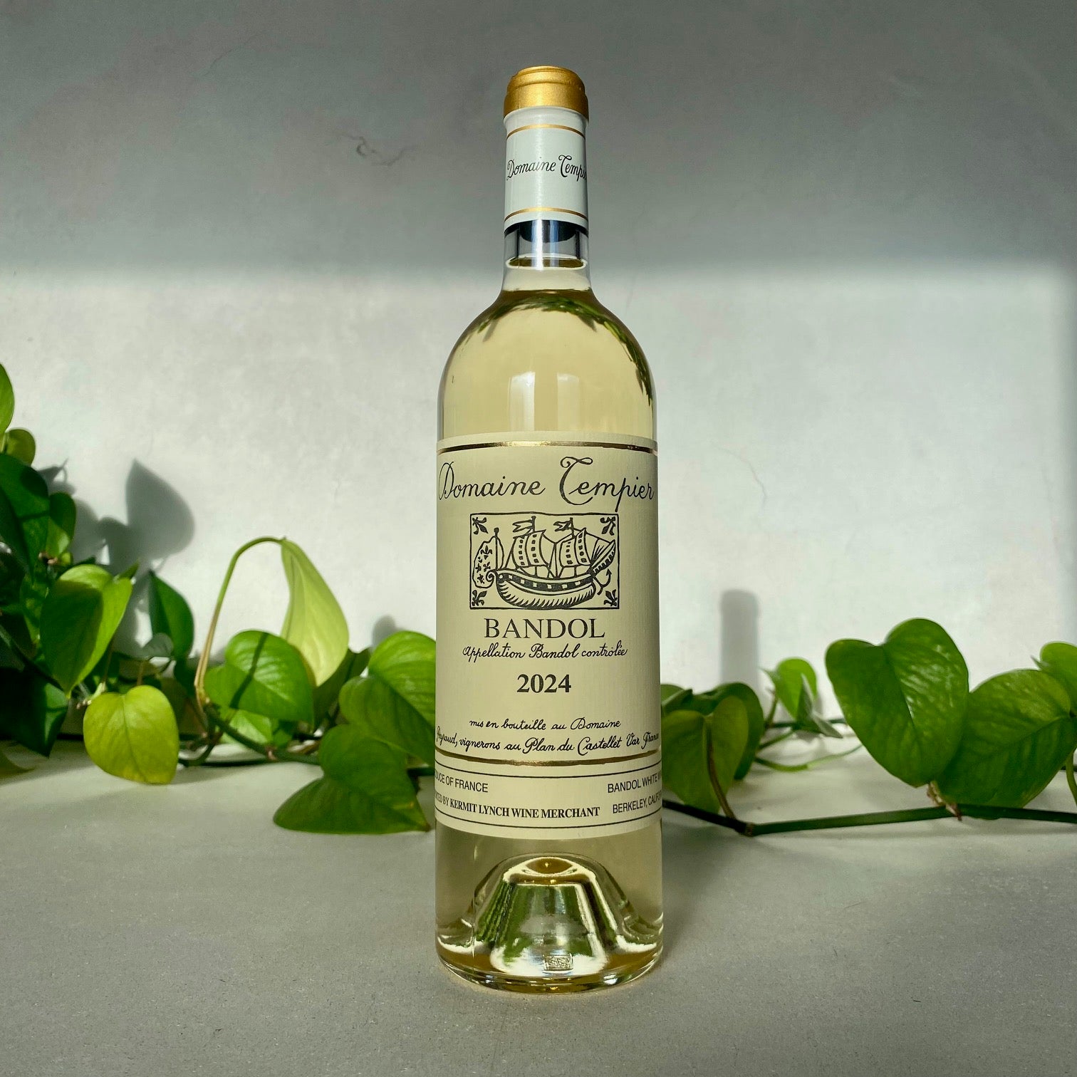 Domaine Tempier - Bandol Blanc - Provence, France