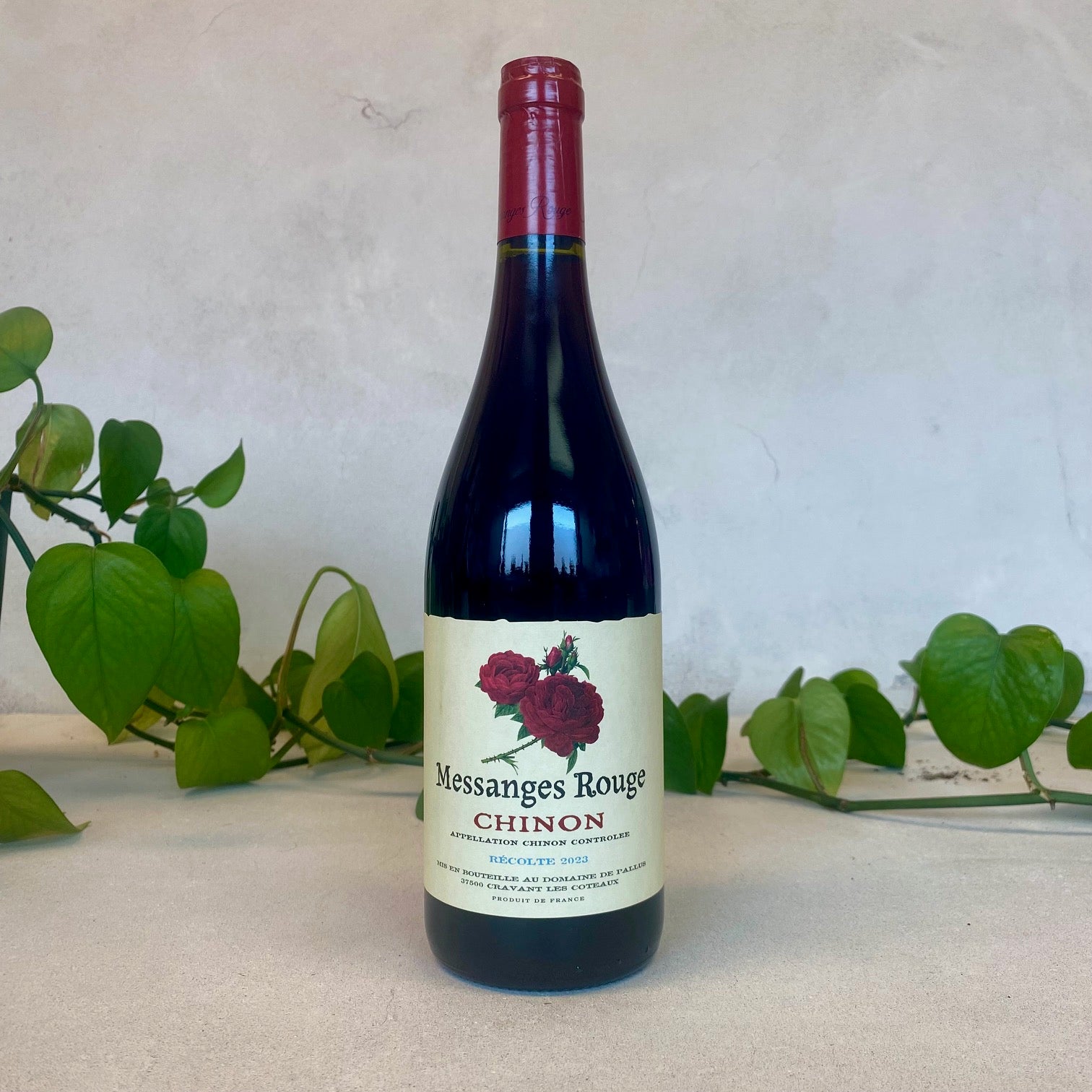 Domaine de Pallus - Chinon 'Messanges' - Loire Valley, France