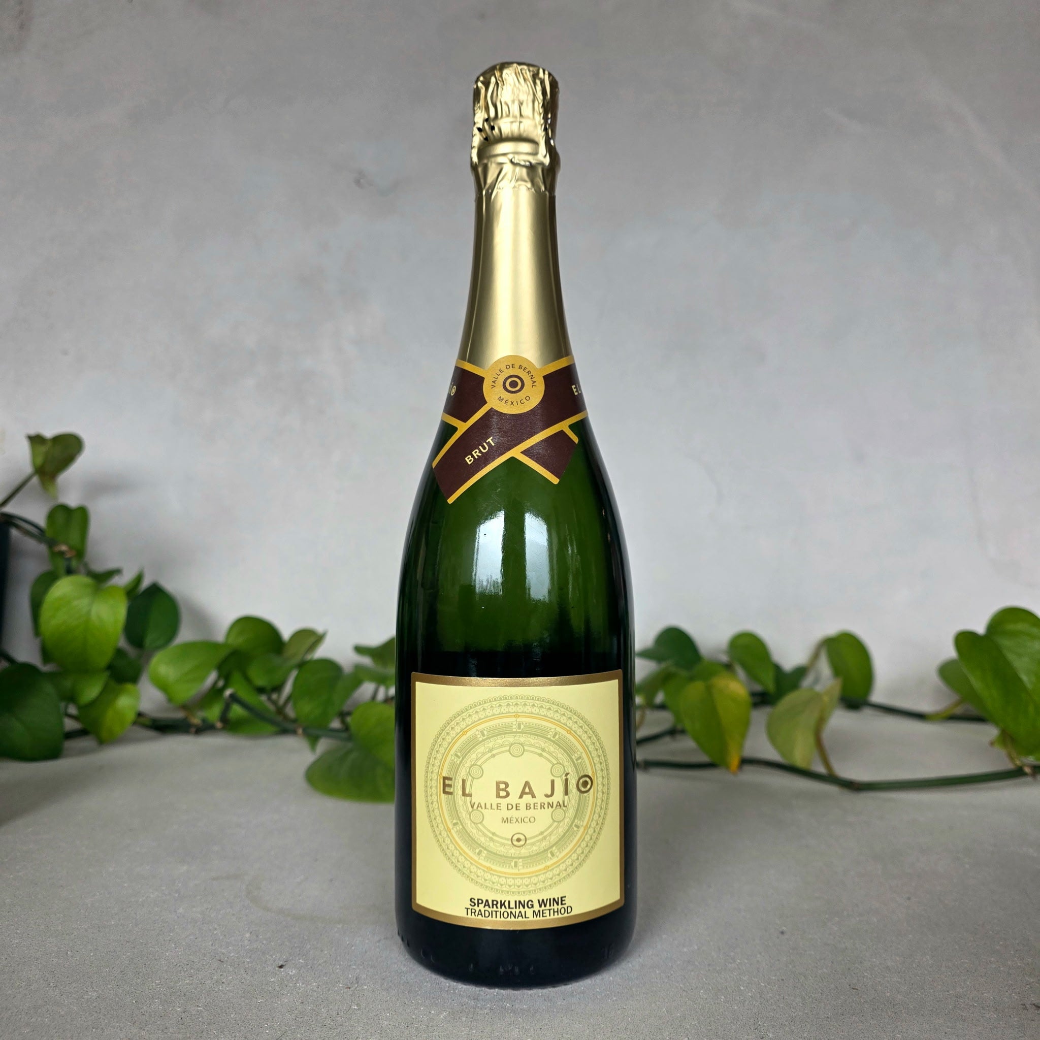 El Bajio - Sparkling Brut - Queretaro, Mexico
