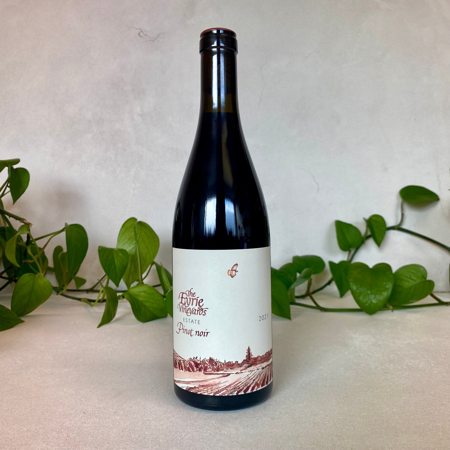 Eyrie Vineyards - Pinot Noir - Willamette Valley, Oregon