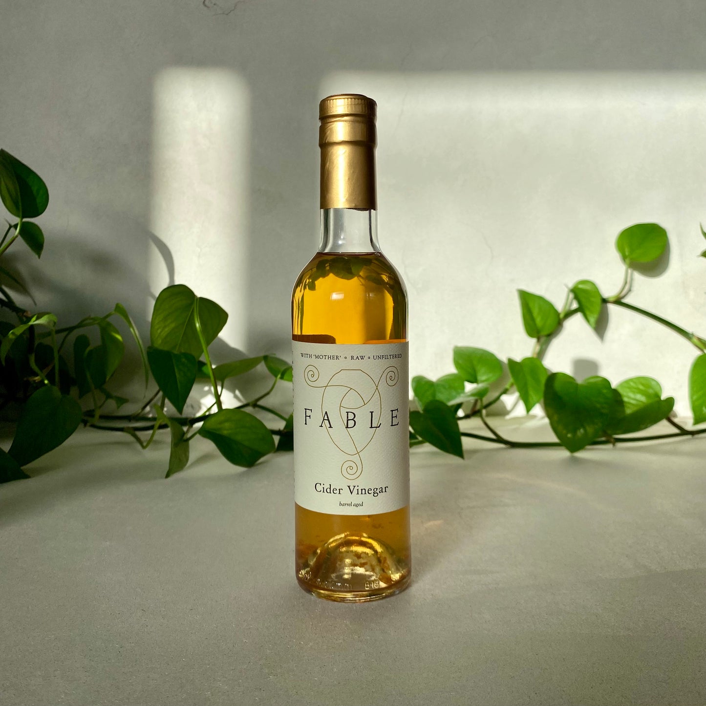 Fable - Barrel Aged Cider Vinegar - Vermont
