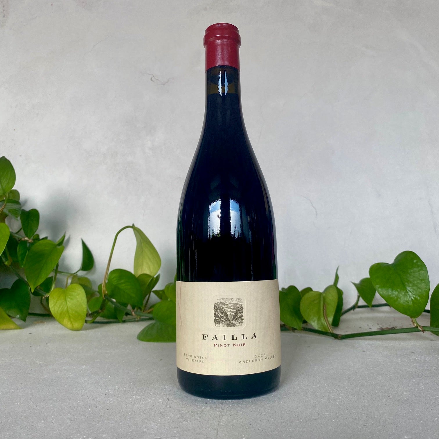 Failla - Pinot Noir 'Ferrington Vineyard' - Sonoma County, California