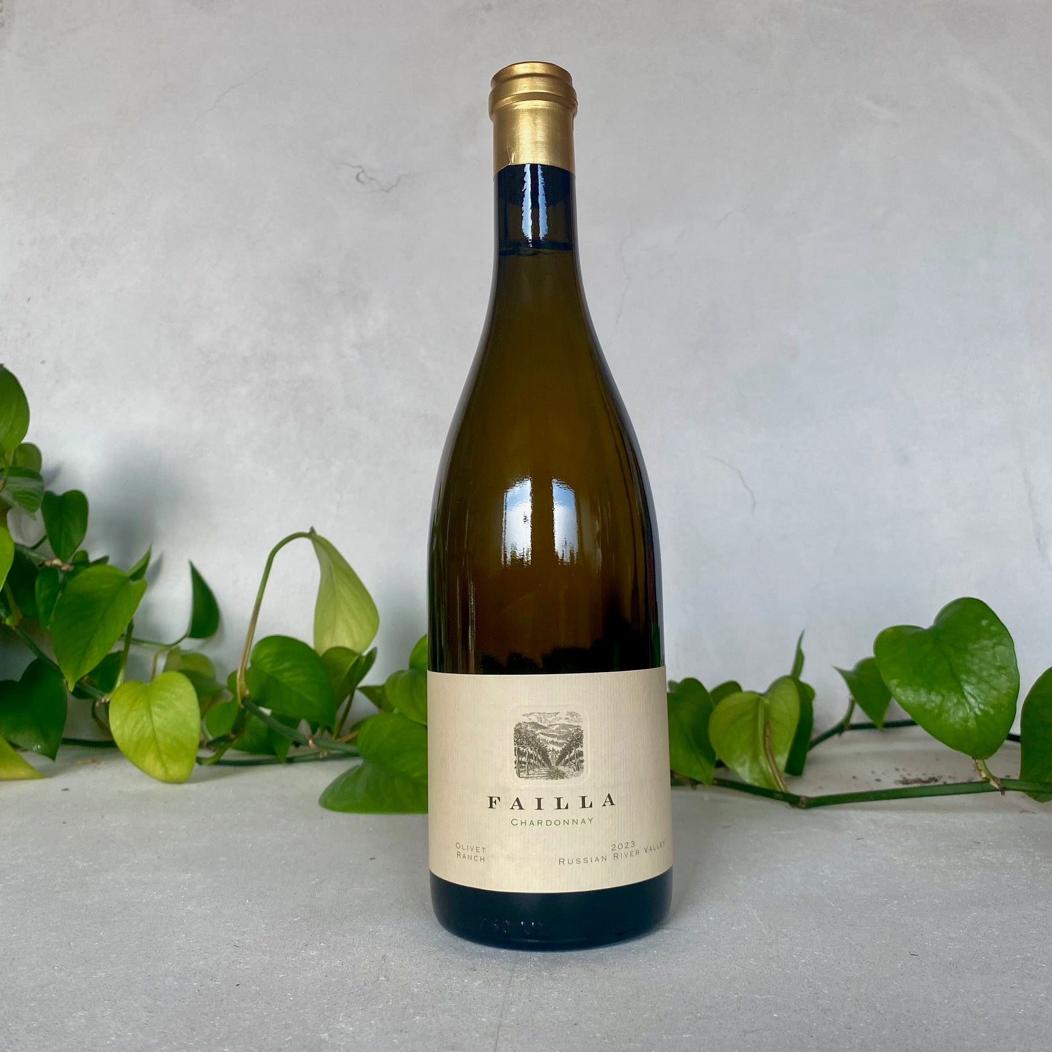 Failla - Chardonnay 'Olivet Ranch' - Sonoma County, California