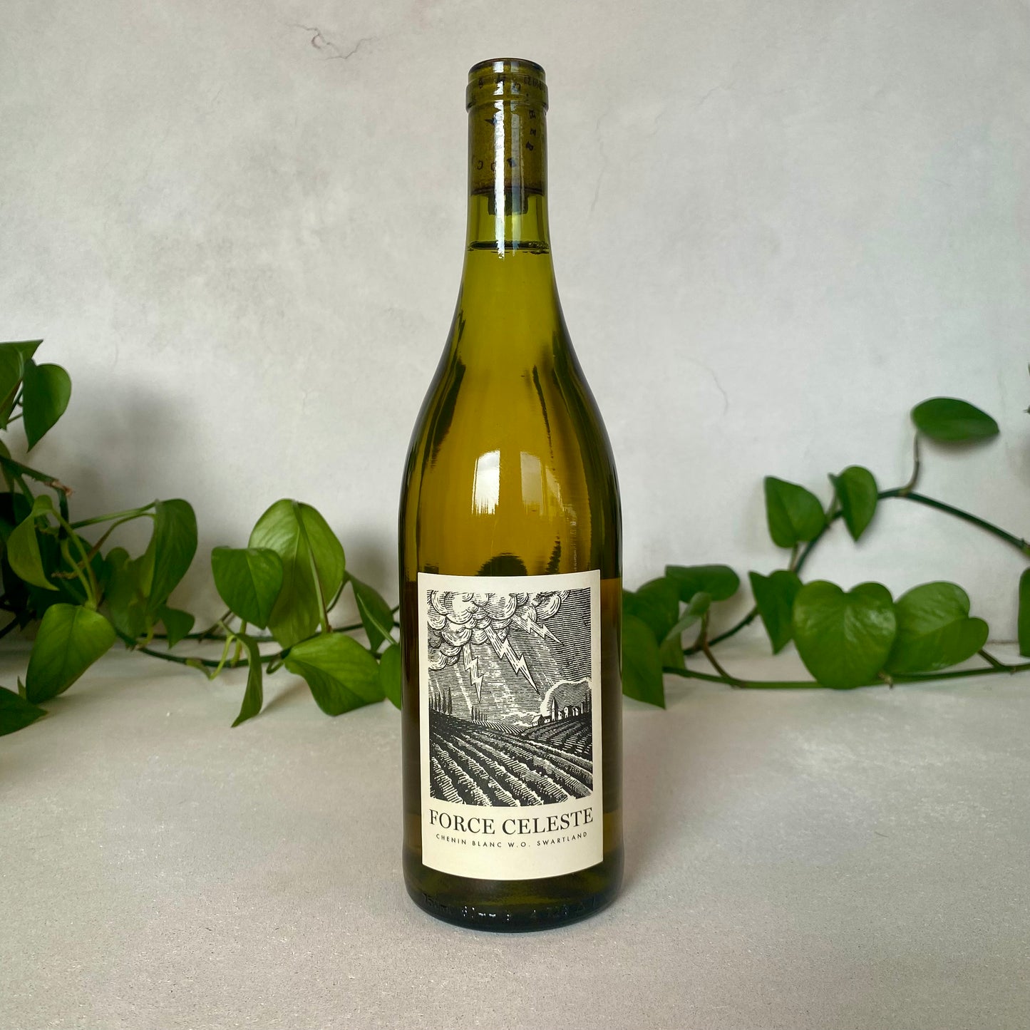 Mother Rock - 'Force Celeste' Chenin Blanc - Swartland, South Africa