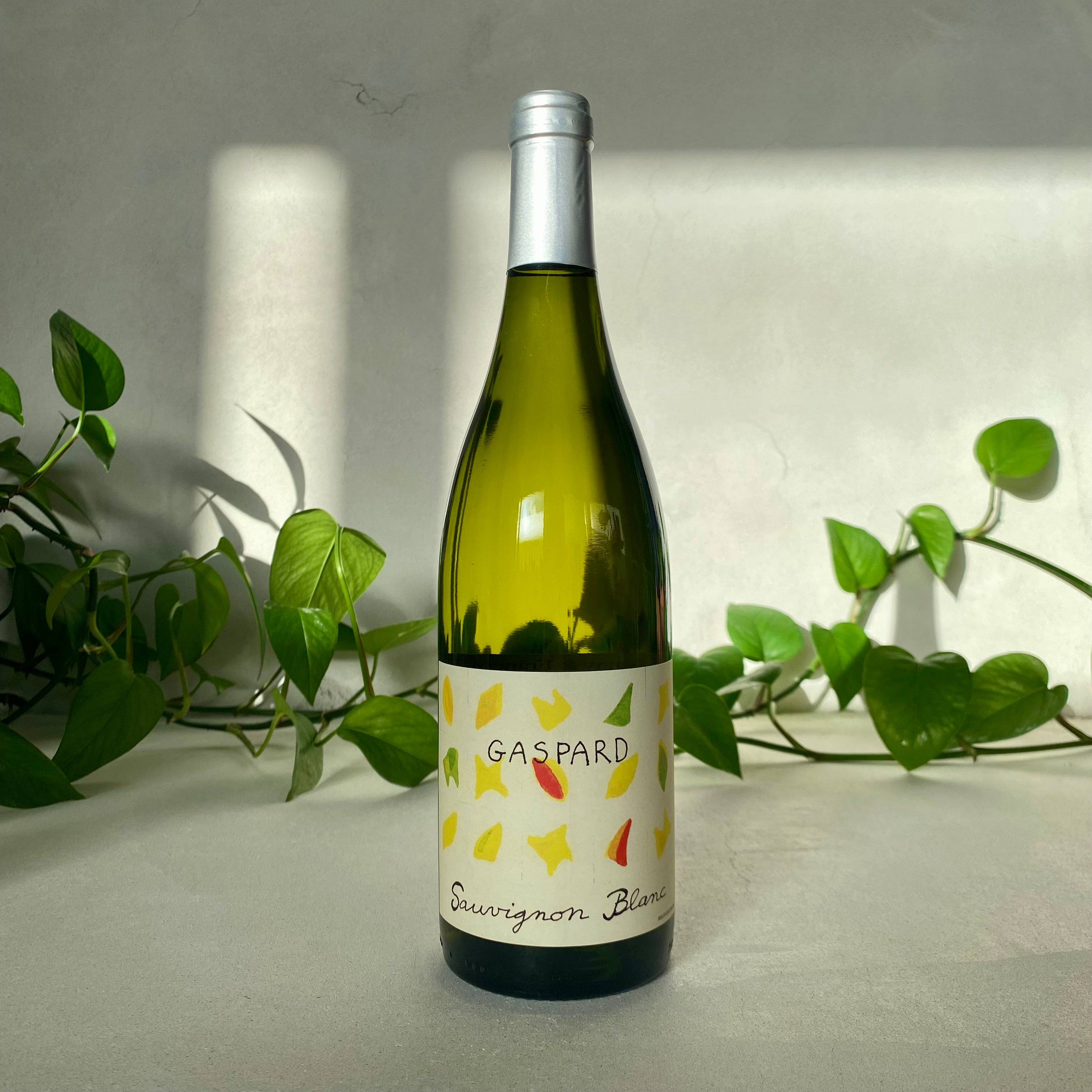 Gaspard - Sauvignon Blanc - Loire, France