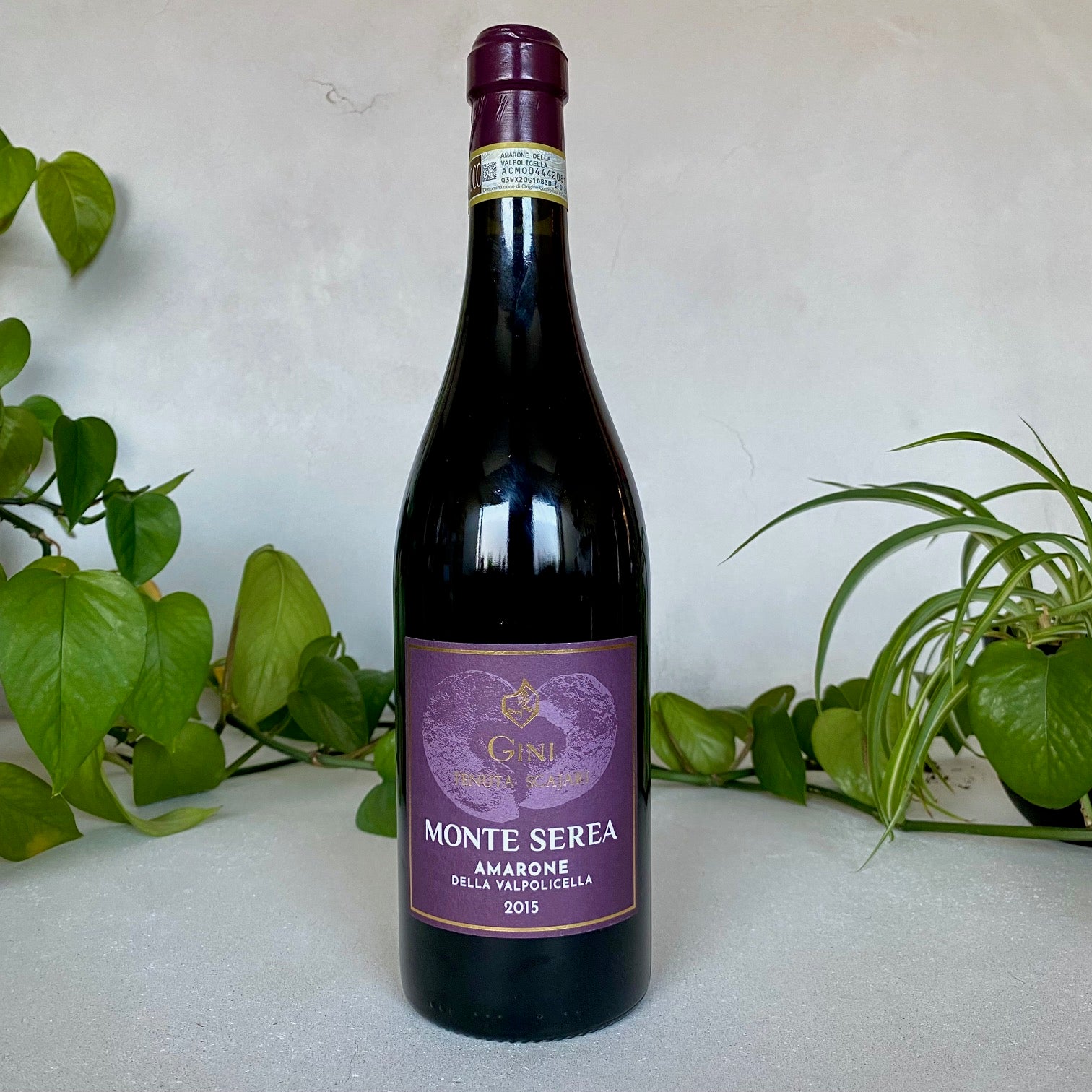 Gini - Amarone della Valpolicella 'Monte Serea' - Veneto, Italy
