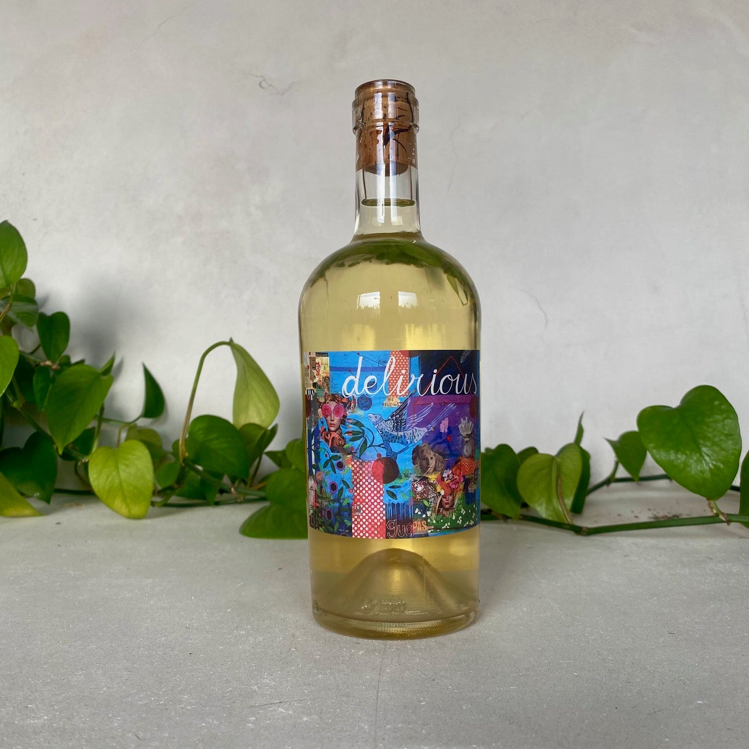 Weinhof Haider - Delirious - Burgenland, Austria