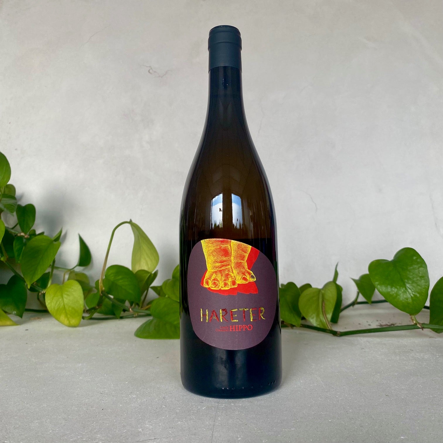 Hareter - 'Hippo' Pinot Blanc - Burgenland, Austria