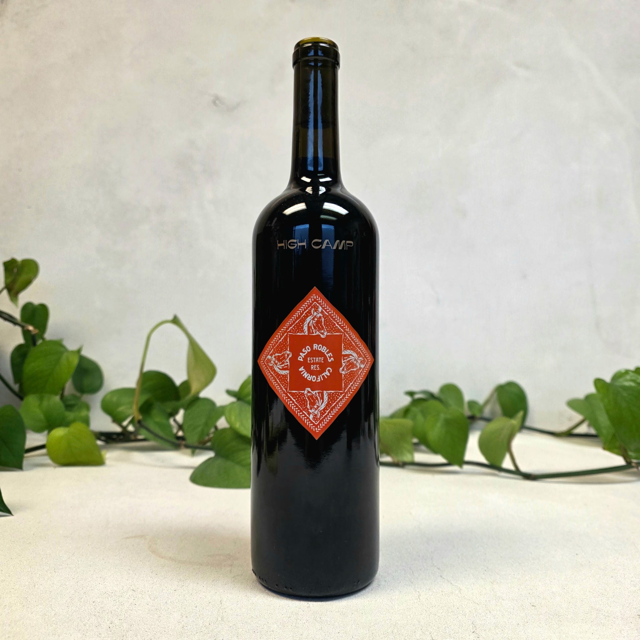 Black wine bottle with a red label on a white surface with green leaves in the background