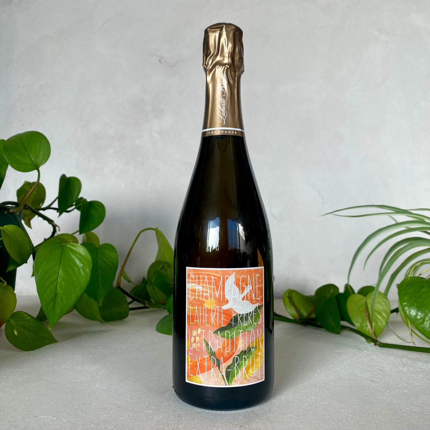 Laherte Freres - Extra Brut 'Ultradition' - Champagne, France