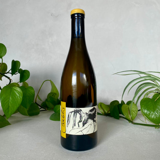 Domaine Pattes Loup - Chablis 'Vent d'Ange mise tardive' - Burgundy, France