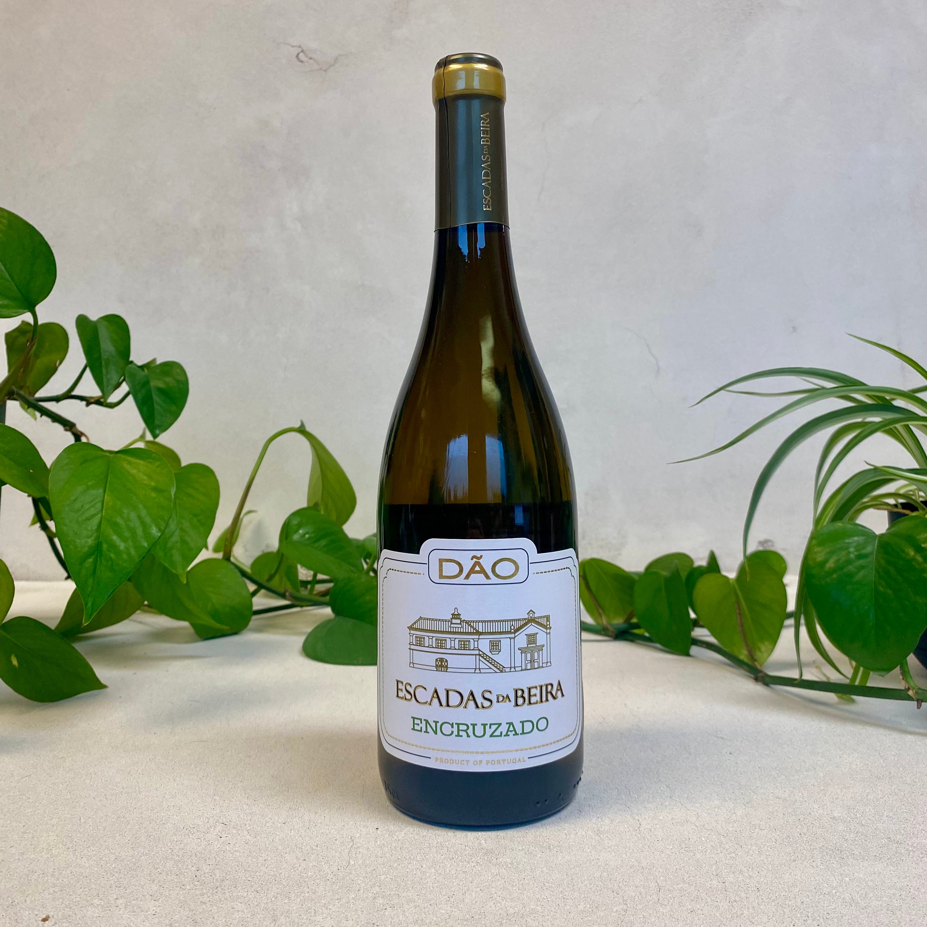 Escadas da Beira - Encruzado - Dao, Portugal