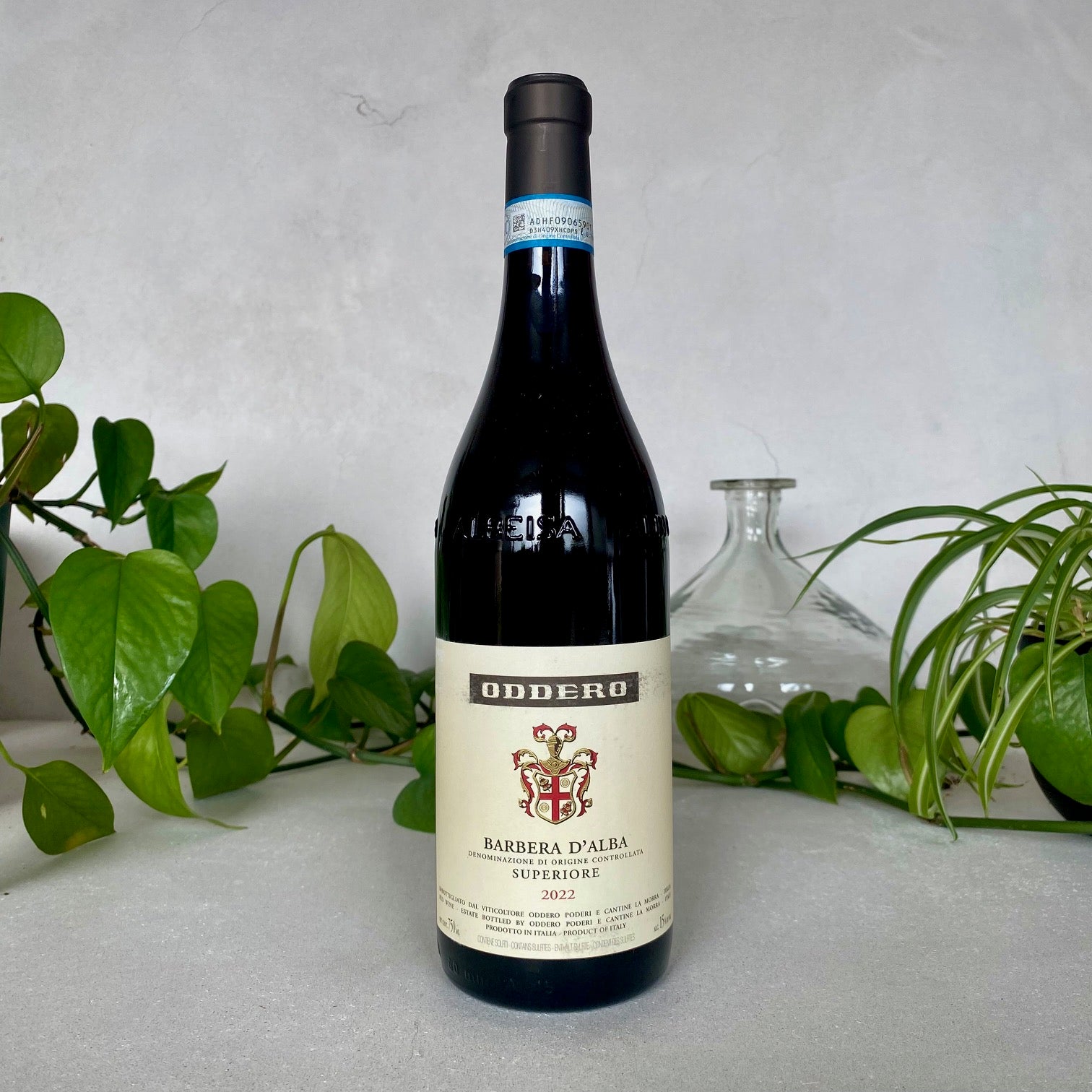 Oddero - Barbera d'Alba - Piedmont, Italy