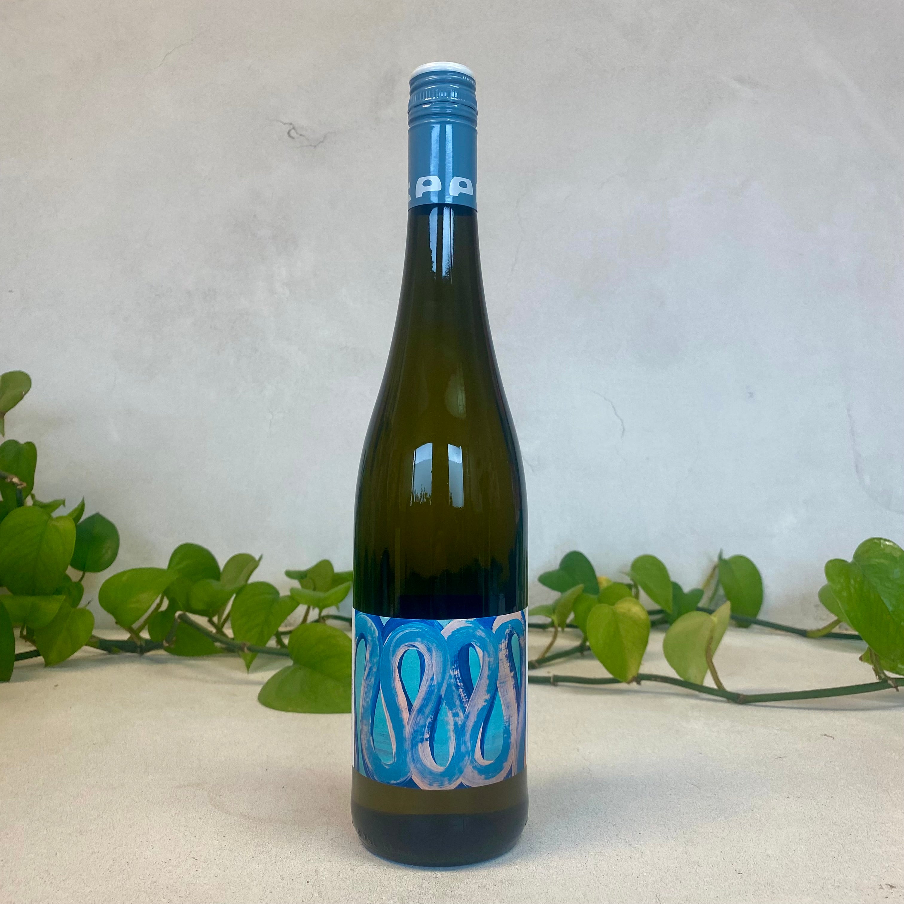 Seehof - Riesling 'Artist's Label' - Rheinhessen, Germany