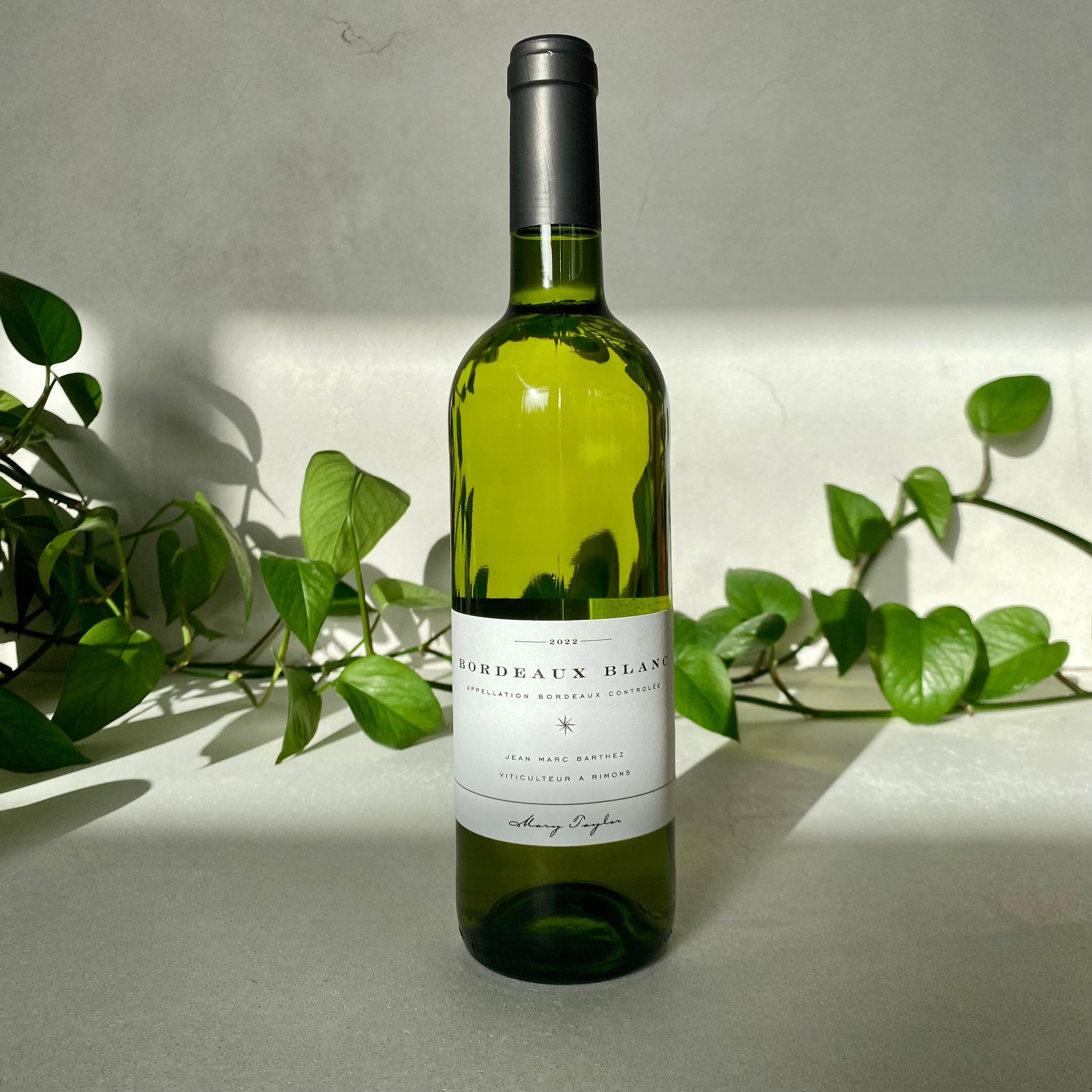 Jean Marc Barthez - Bordeaux Blanc - Bordeaux, France