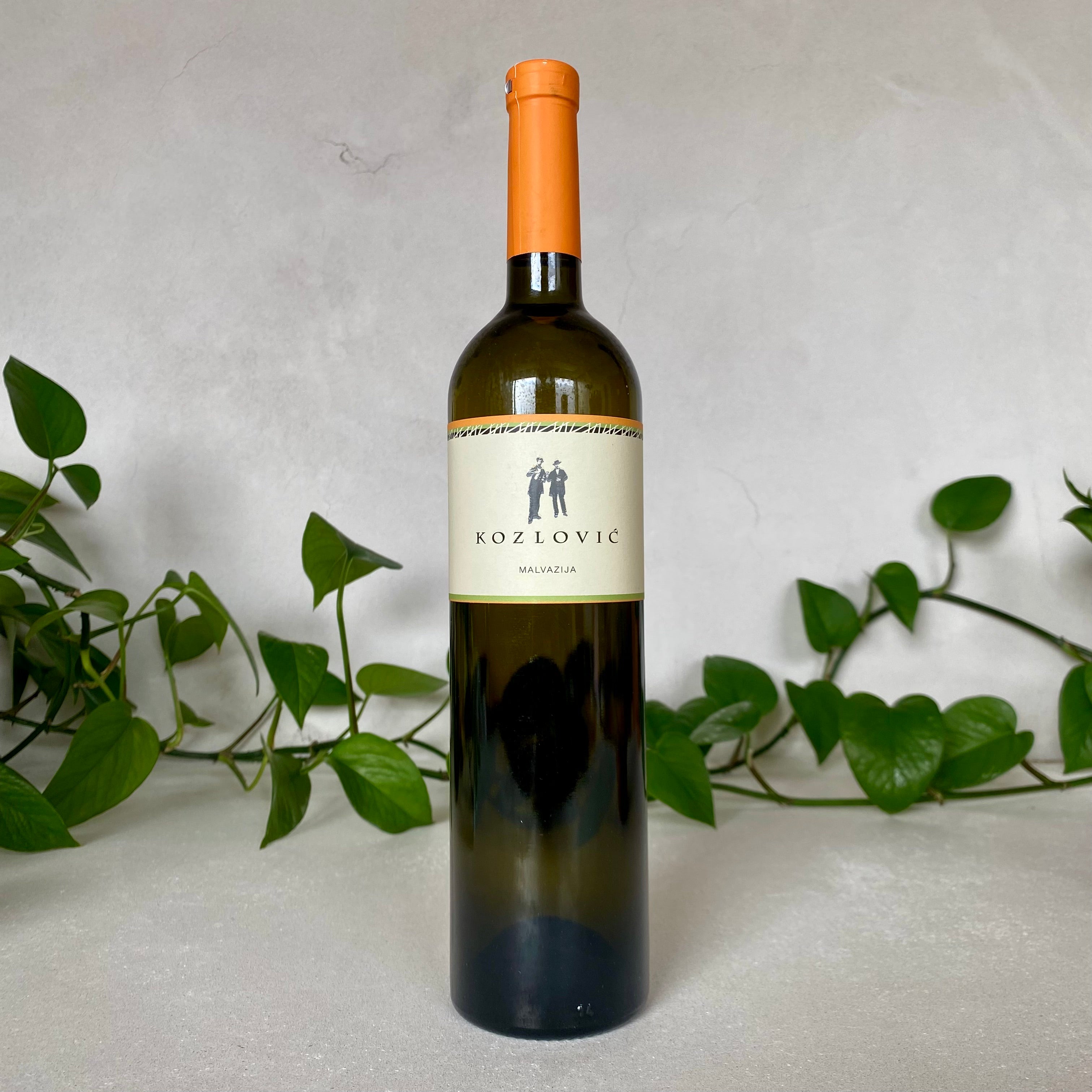 Kozlovic - Malvazija - Istria, Croatia