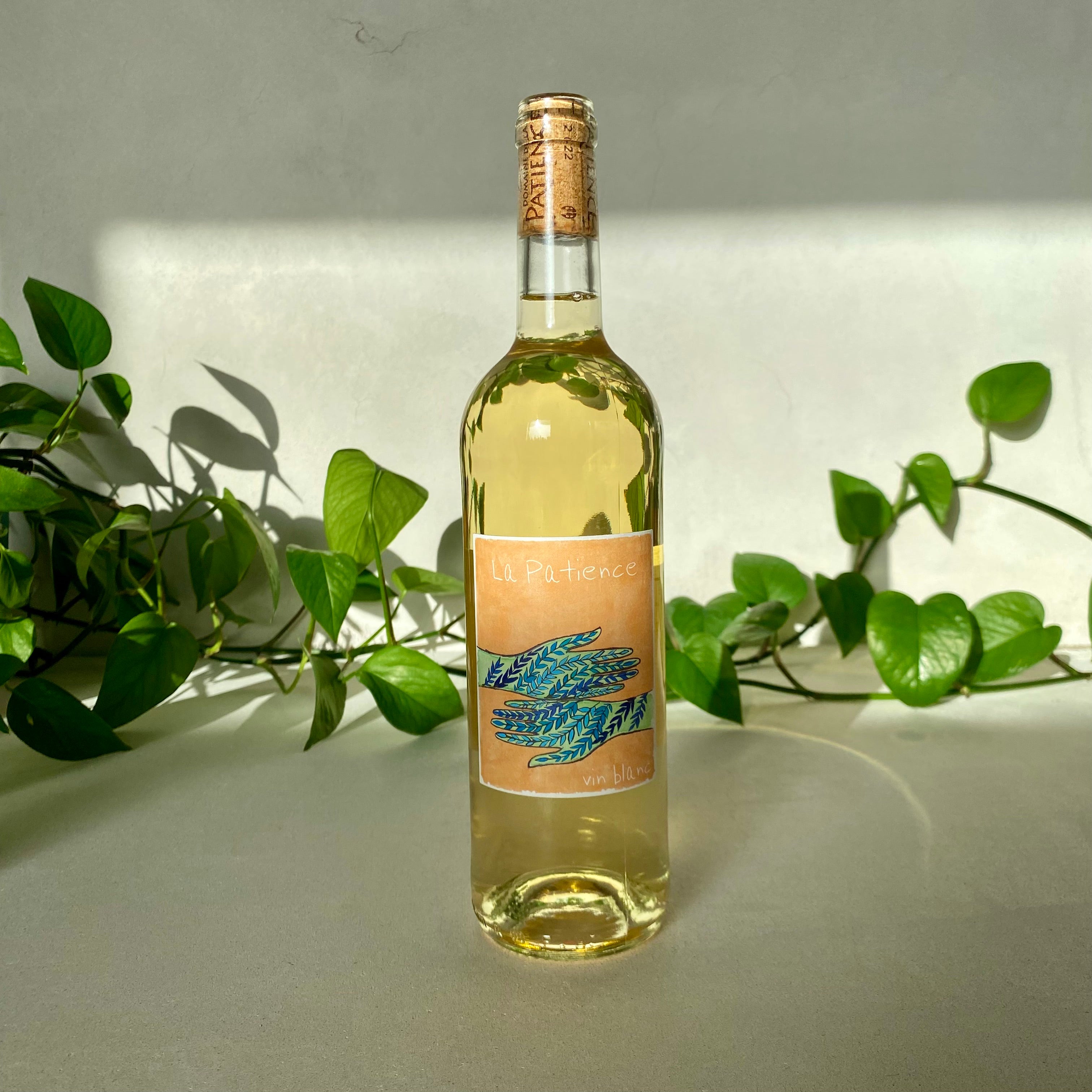 La Patience - Vin Blanc - Languedoc, France