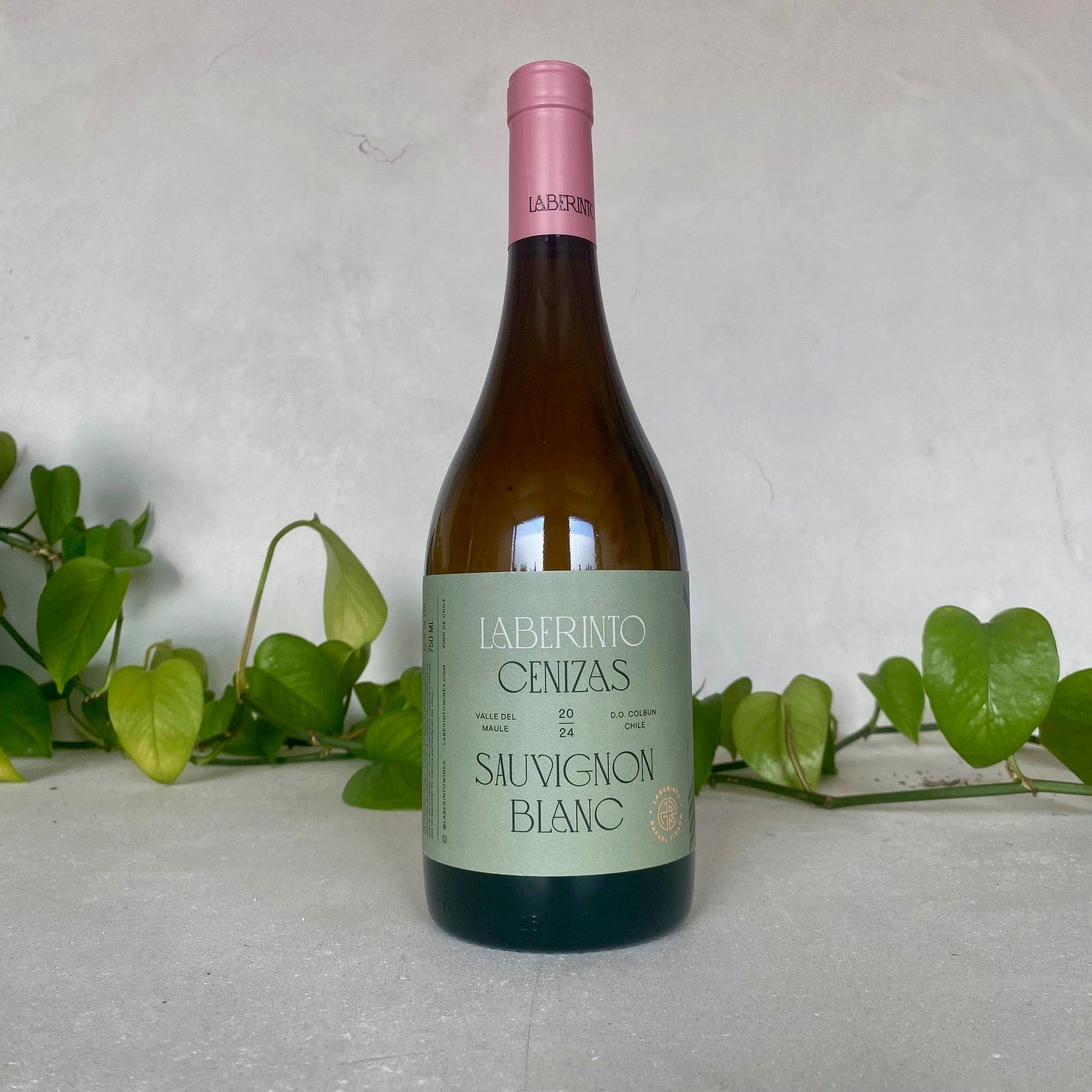 Laberinto - 'Cenizas' Sauvignon Blanc - Maule Valley, Chile