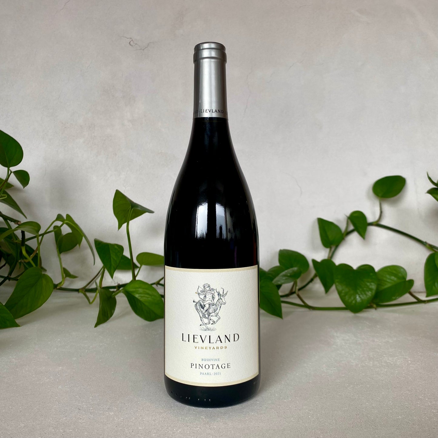 Lievland - Pinotage - Paarl, South Africa