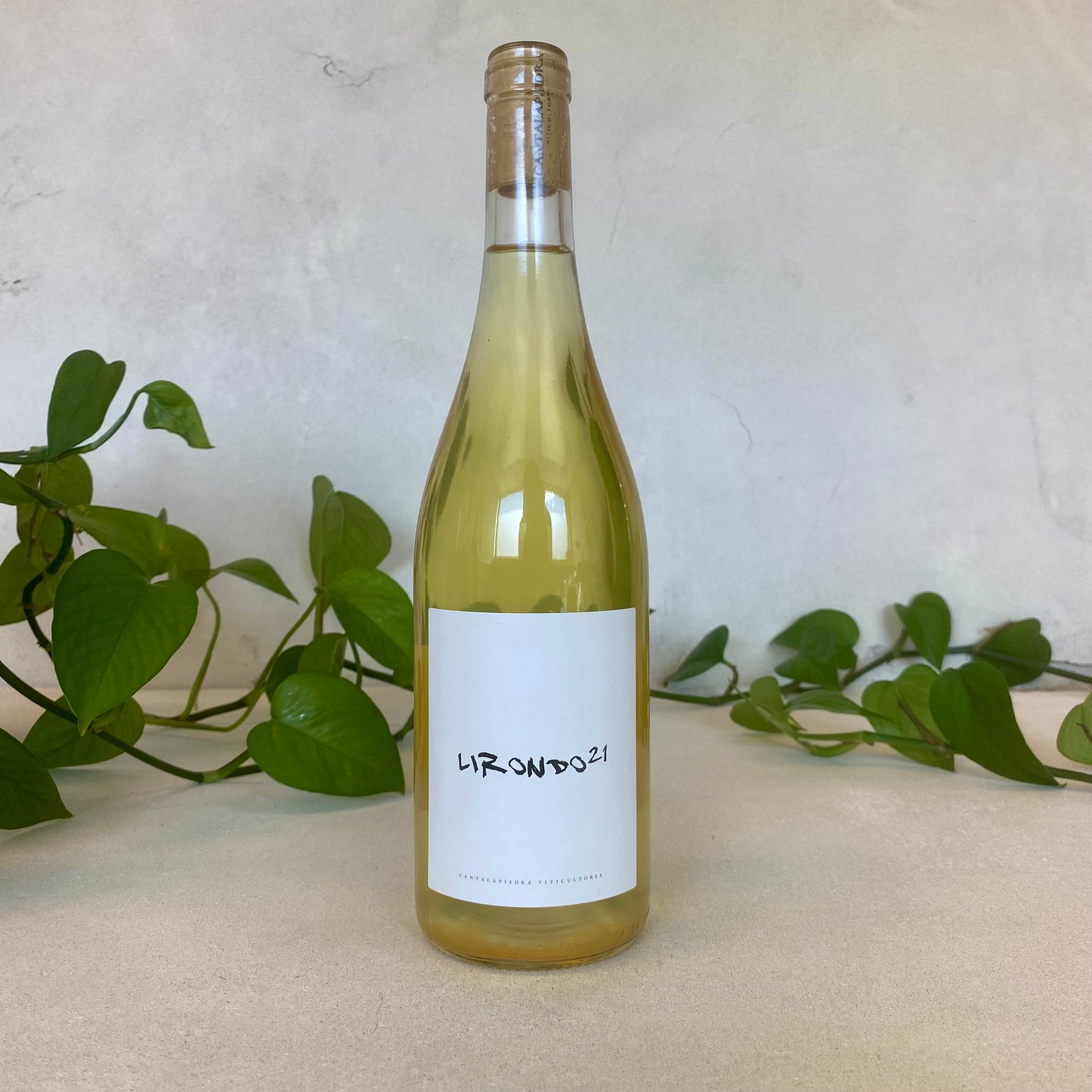 Cantalapiedra - 'Lirondo' Verdejo - Rueda, Spain