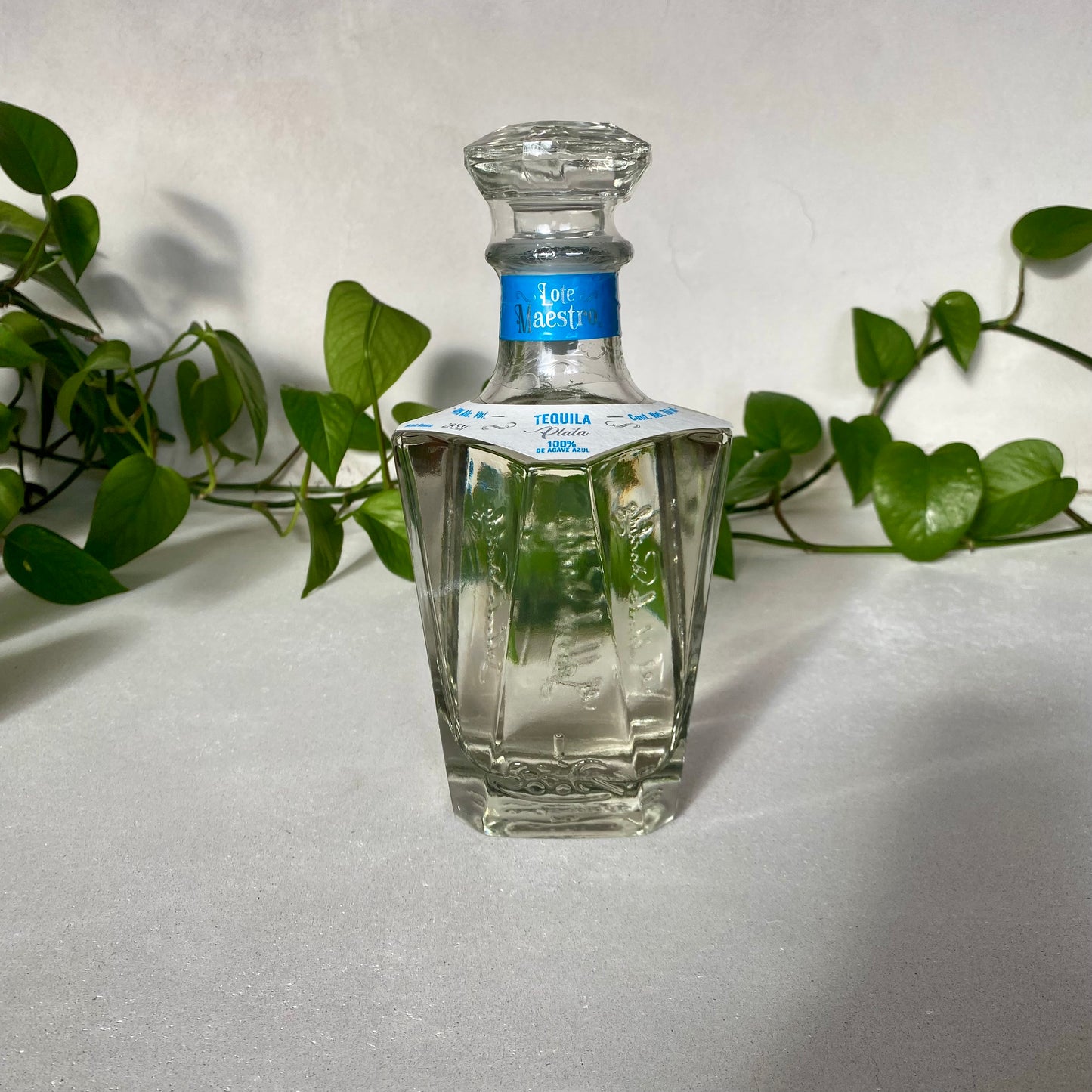 Lote Maestro - Plata Tequila - Jalisco, Mexico