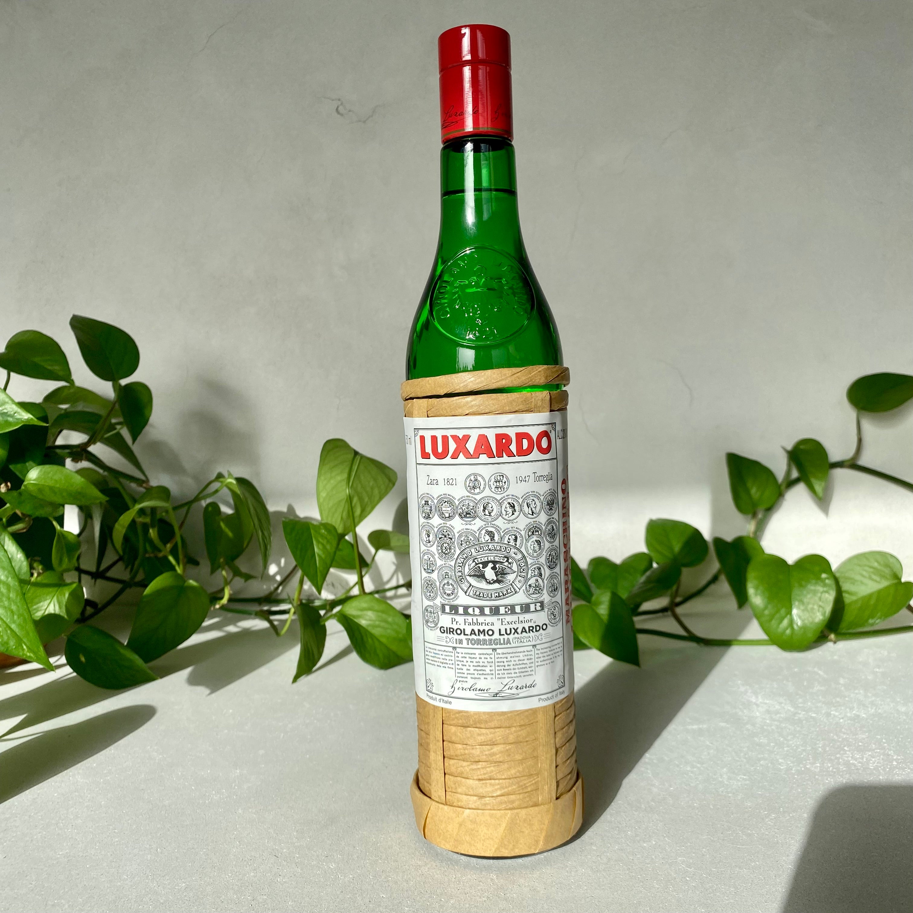 Luxardo - Maraschino Liqueur - Padova, Italy